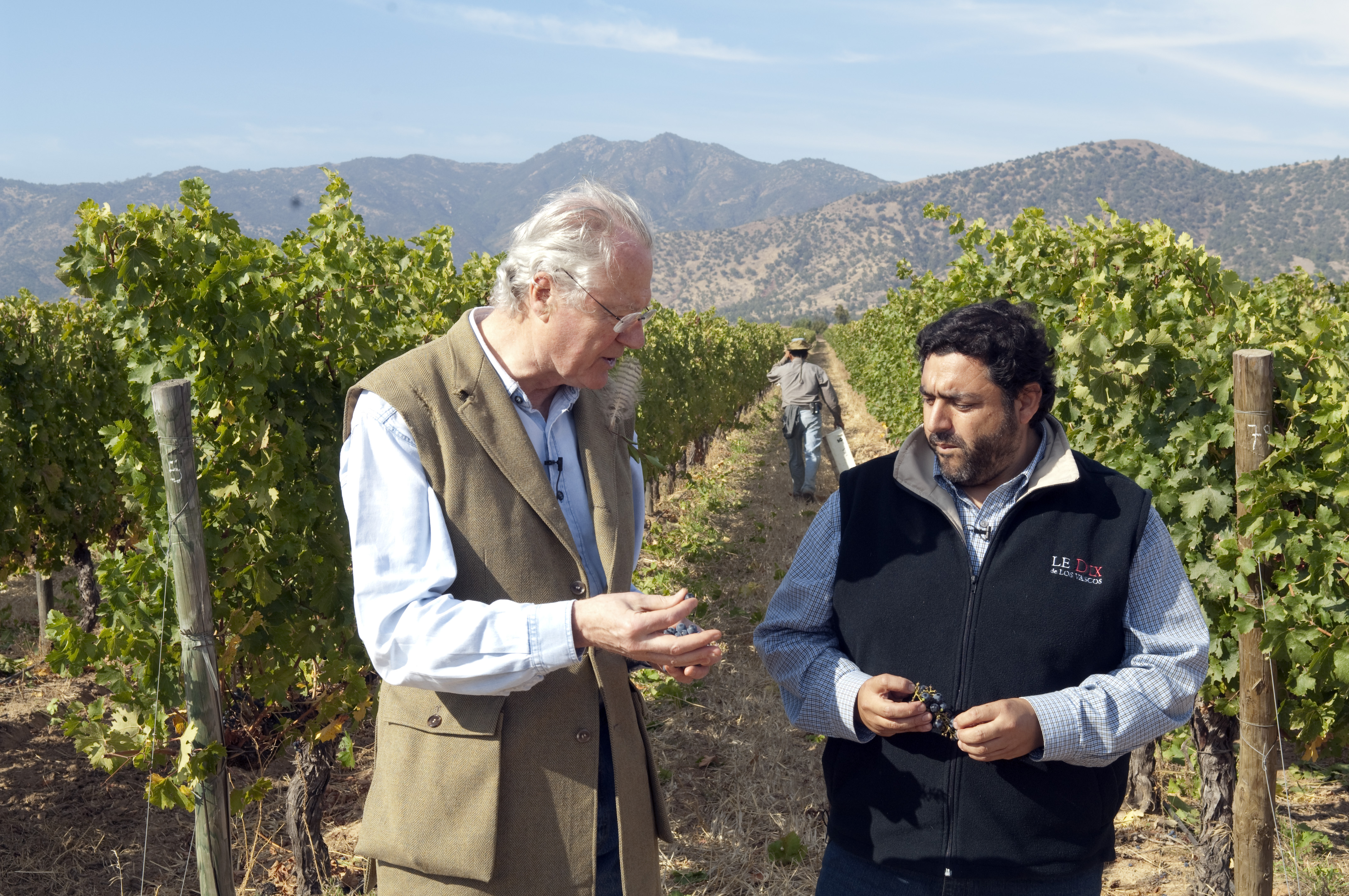 LE DIX 赤ワイン 2018年 LOS VASCOS 3本セット Domaine Baron de Rothschild Lafite, LOS VASCOS LE DIX