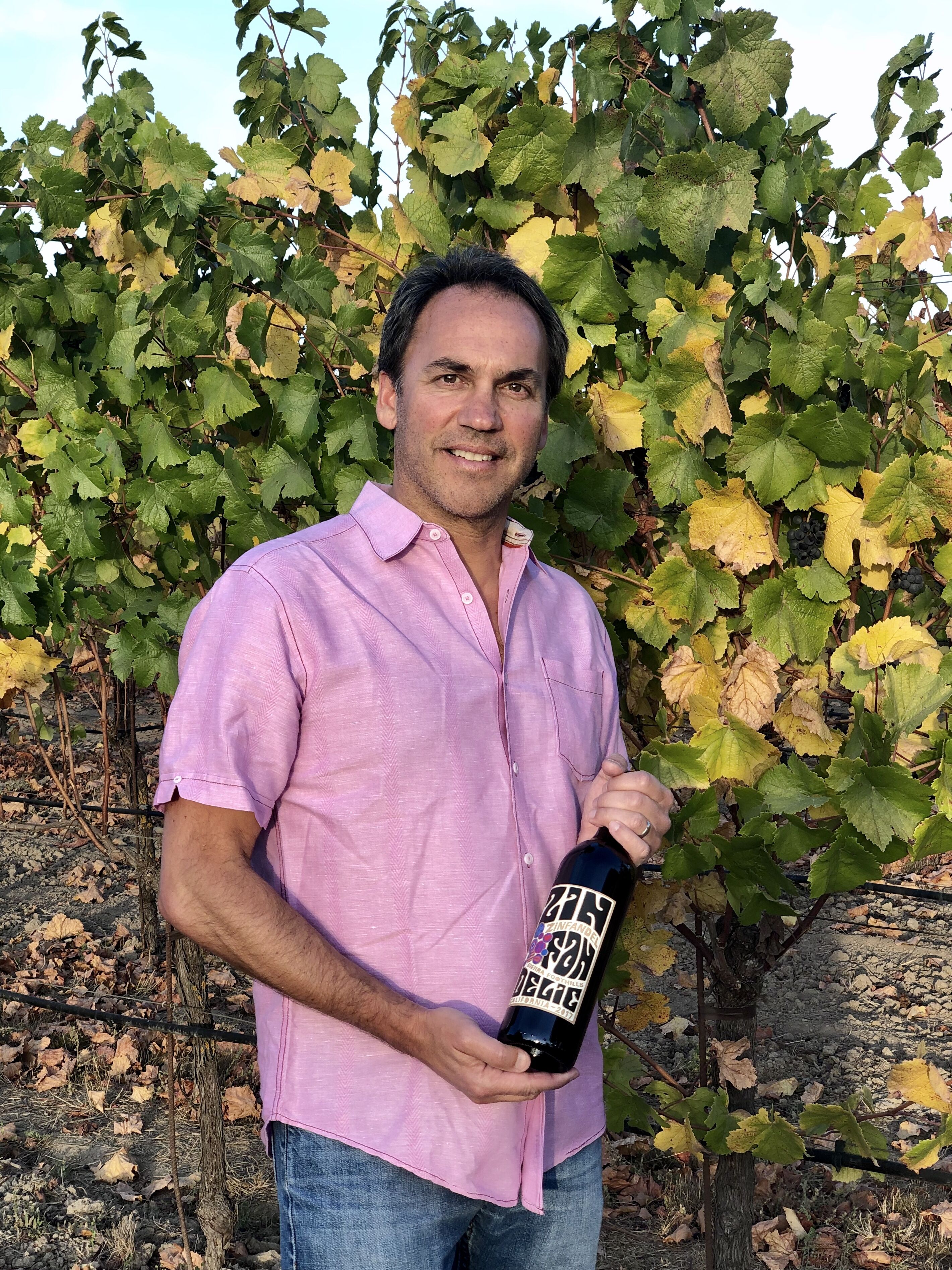 Zinfandelic Sierra Foothills Old Vine Zinfandel 2017 | Wine.com