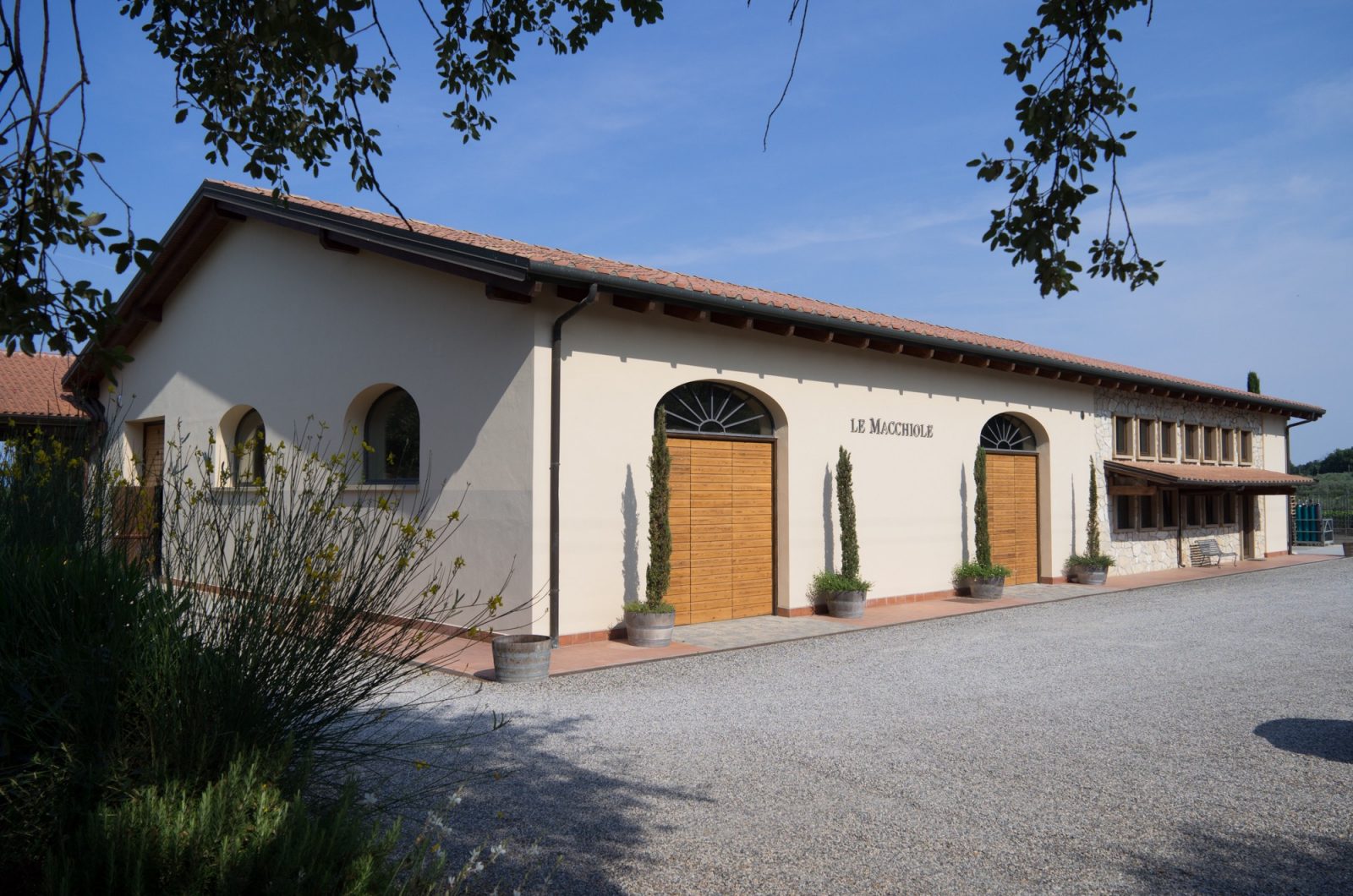 Le Macchiole Paleo 2009 | Wine.com