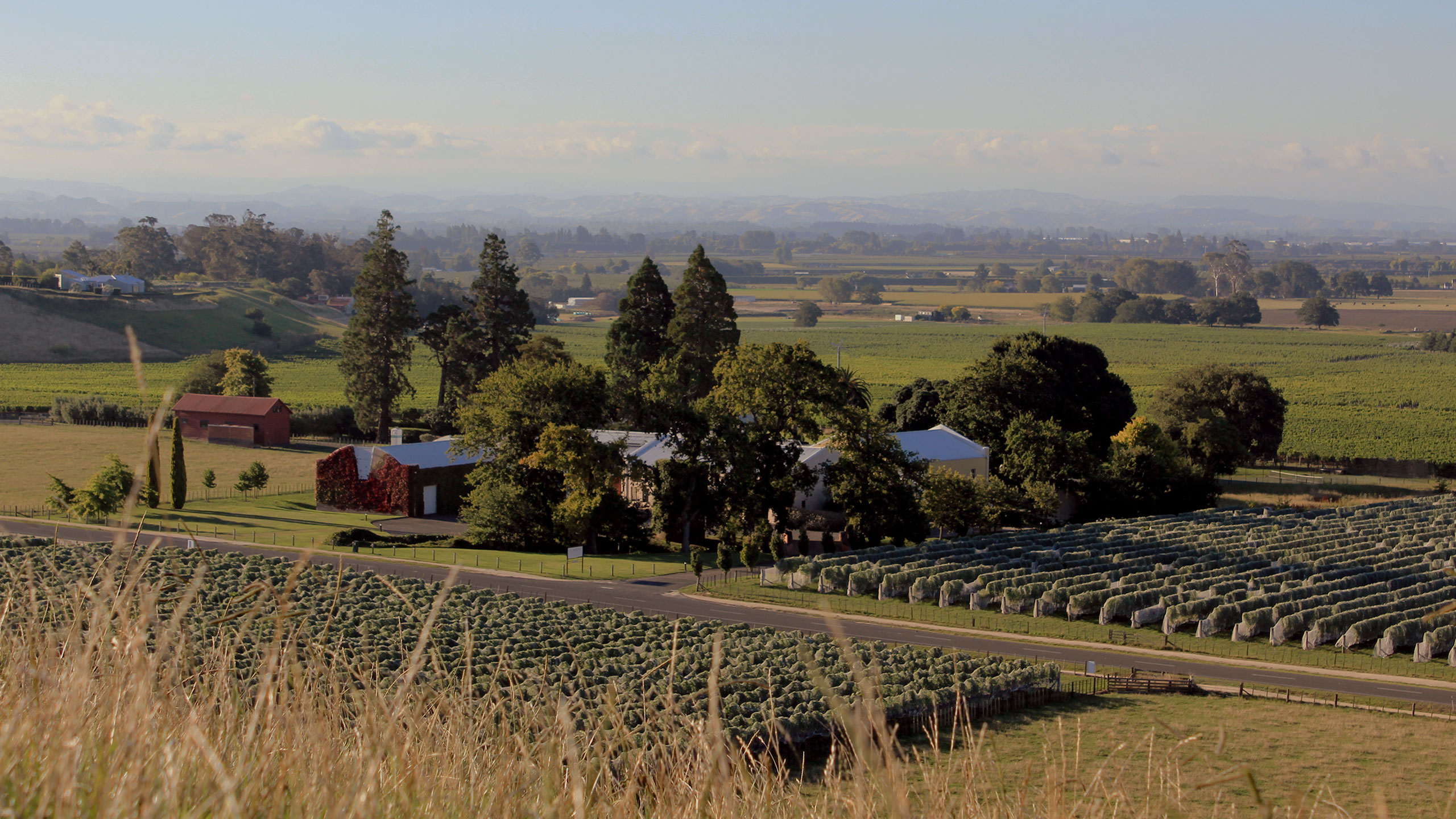 Cabernets-Merlot 2017 Awatea Mata Te