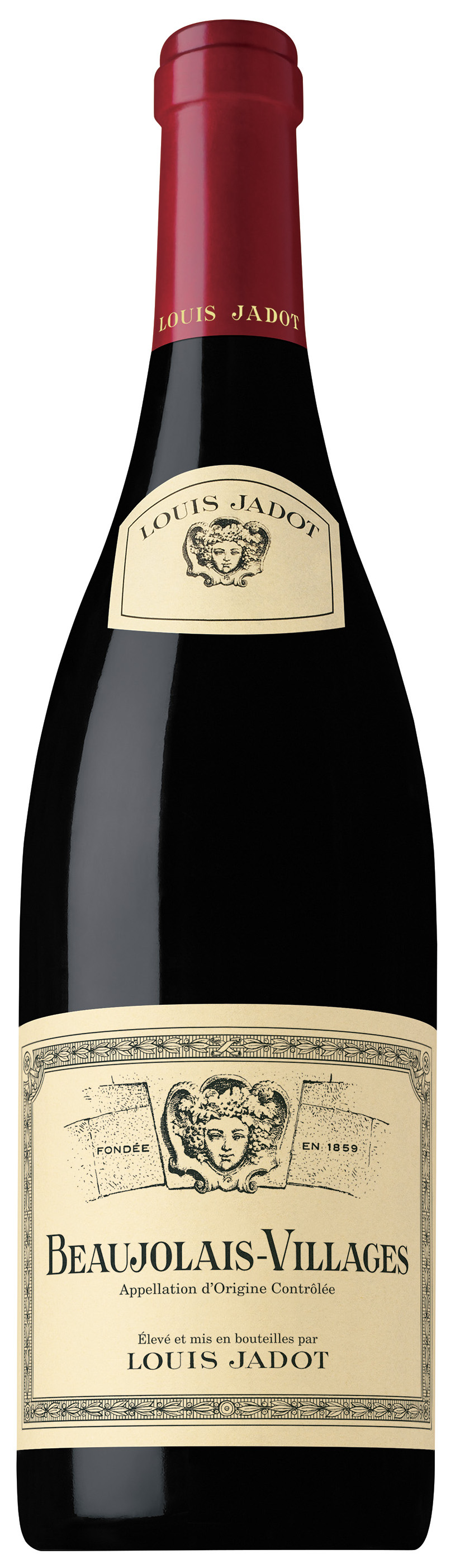 Duboeuf Beaujolais Nouveau 2021 | Wine.com