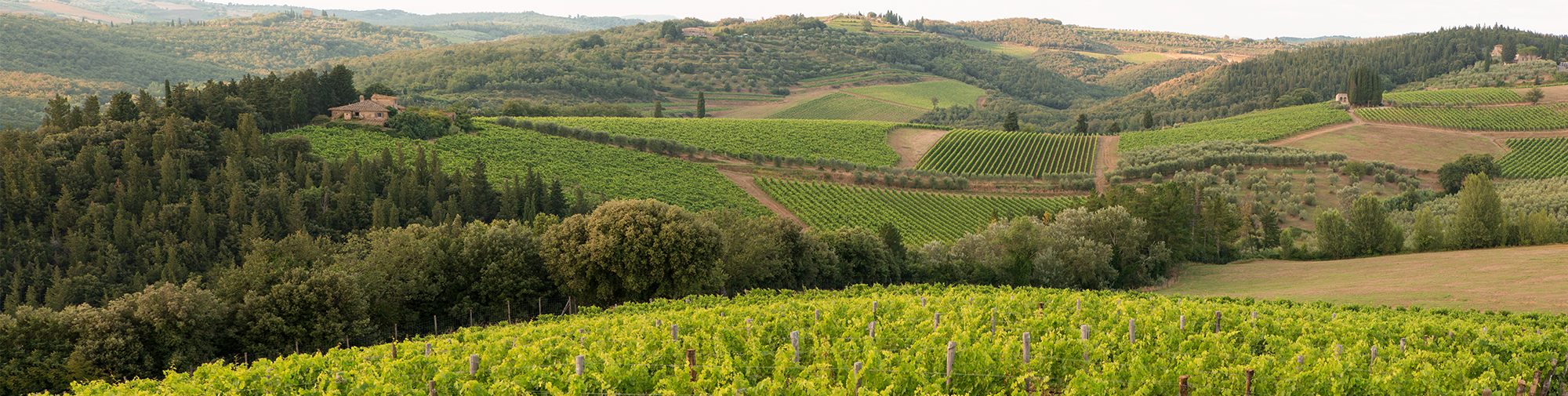 Castello di Monsanto Chianti Classico Riserva 2013 | Wine.com Castello di Monsanto Chianti Classico Riserva 2013 | Wine.com