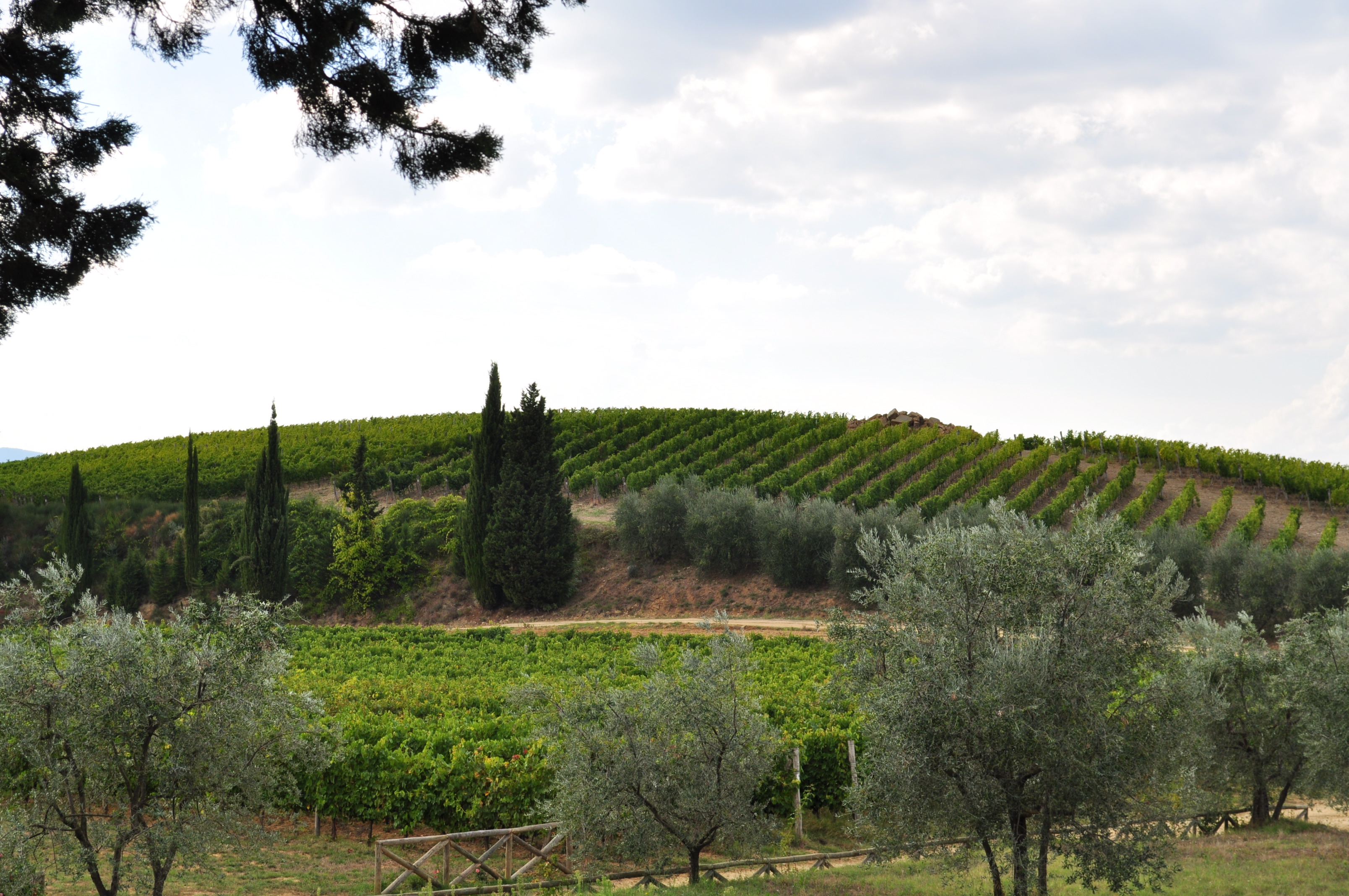 Castello di Monsanto Chianti Classico Riserva 2018 | Wine.com