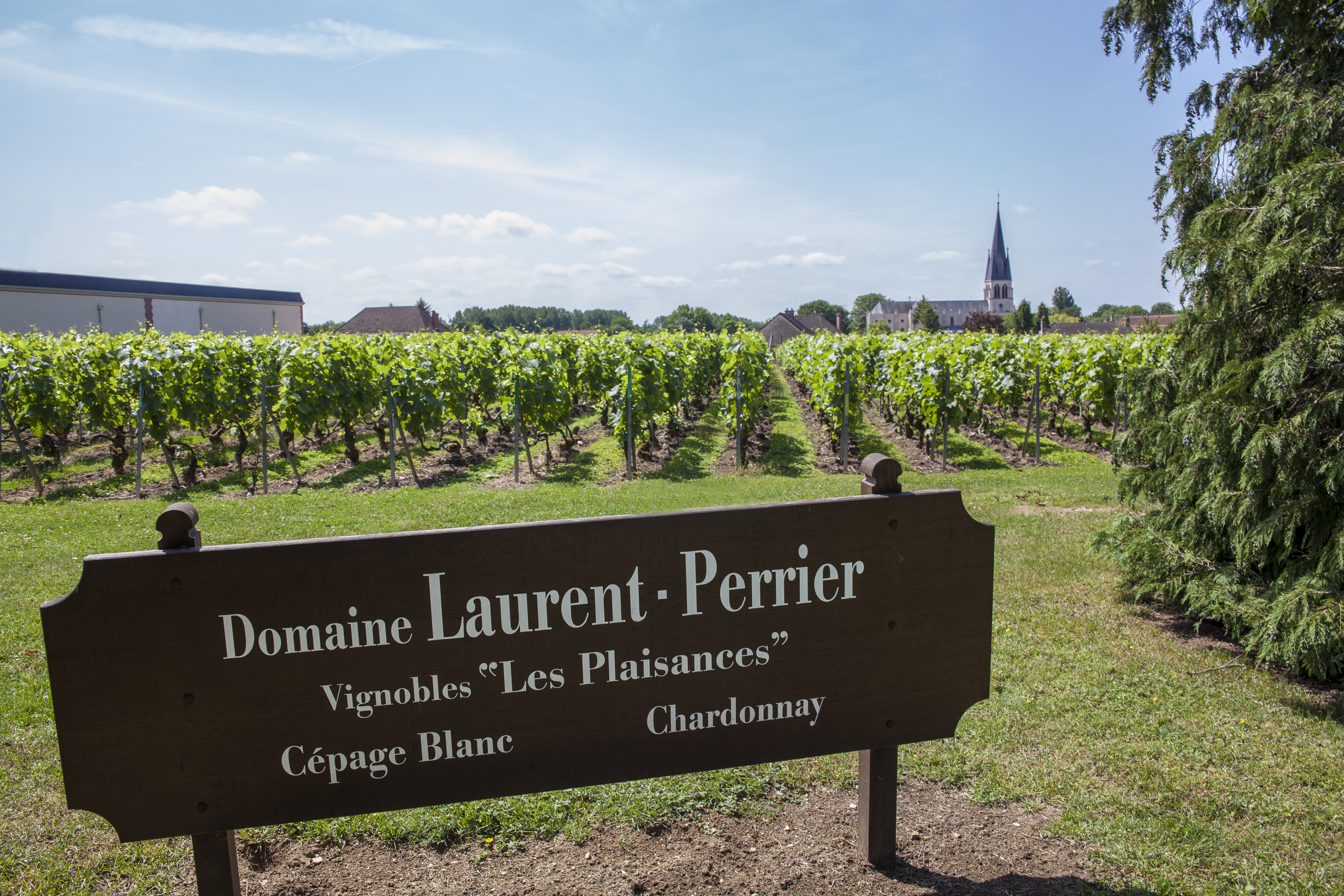 Champagne Laurent-Perrier La Cuvée Brut 37.5 – Vintage Wine Cellar Lebanon