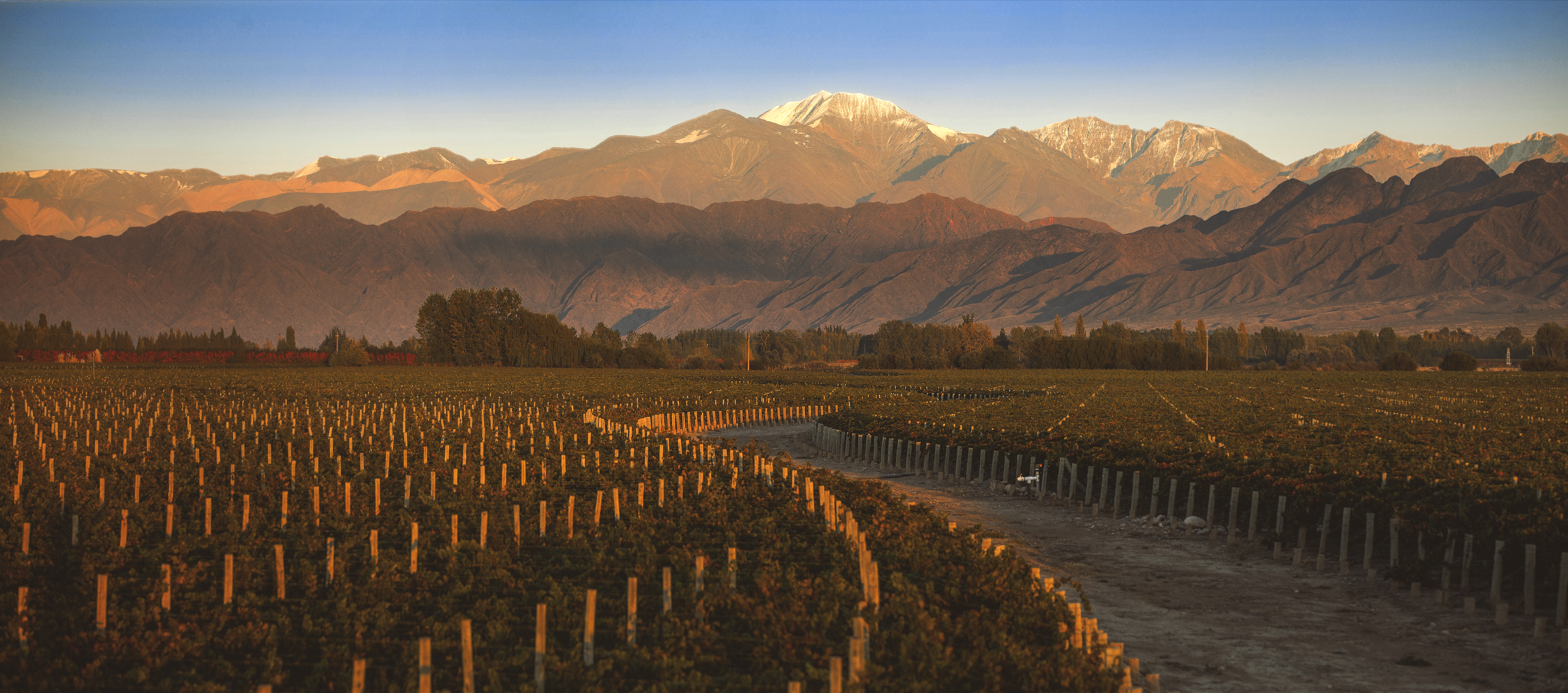 Luigi Bosca Malbec 2011 | Wine.com