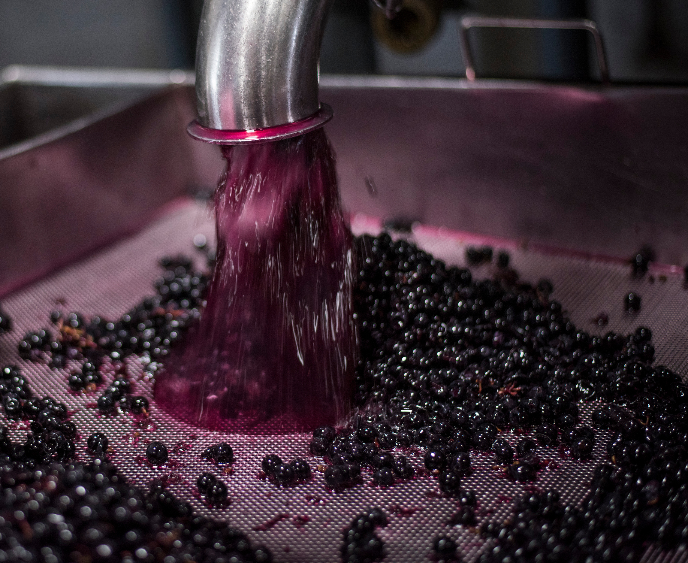 Angeline Reserve Pinot Noir 2020 | Wine.com