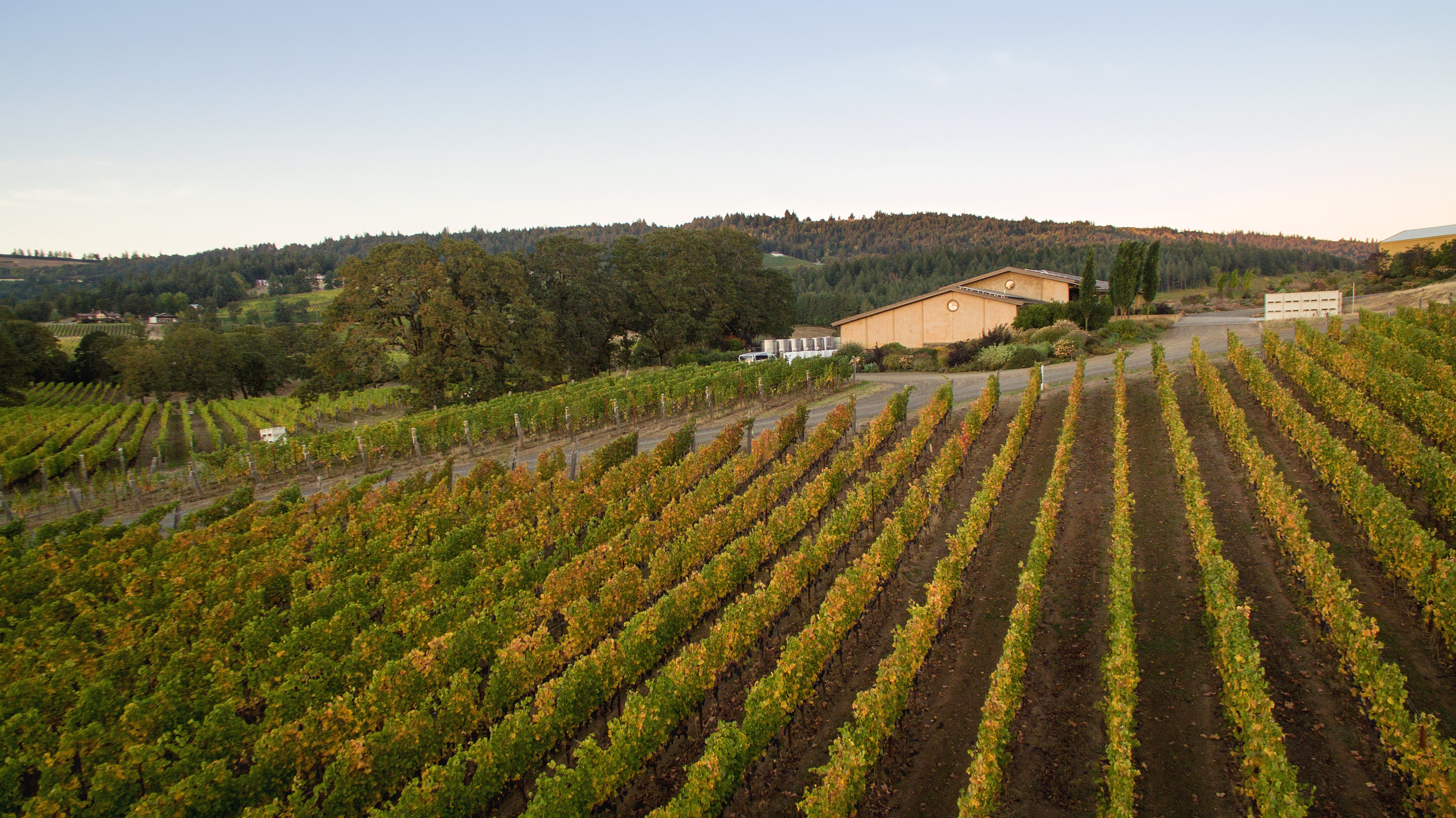 J. Christopher Basalte Pinot Noir 2019 | Wine.com J. Christopher Basalte Pinot Noir 2019 | Wine.com