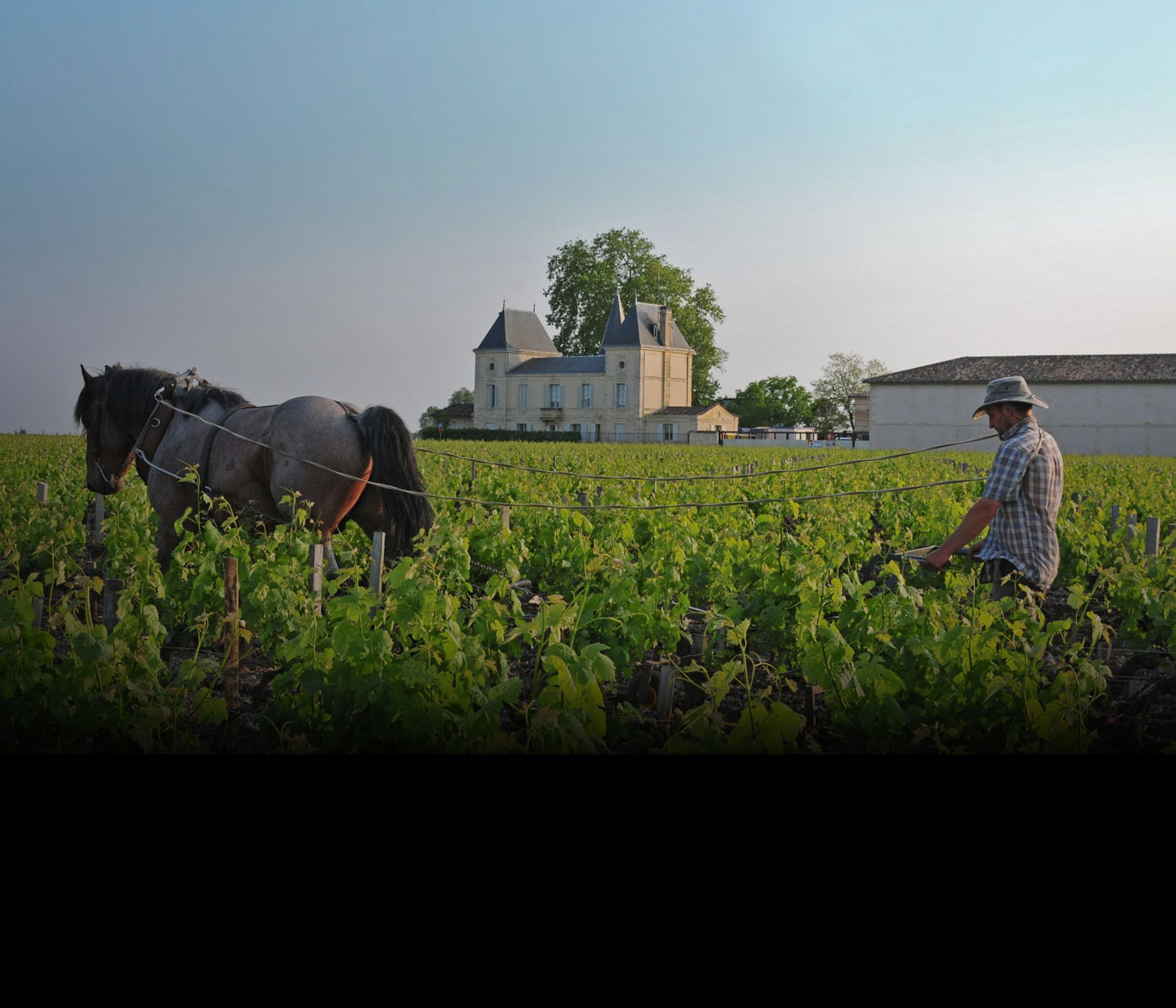 Chateau Margaux Pavillon Rouge 2002 | Wine.com Chateau Margaux Pavillon Rouge 2002 | Wine.com
