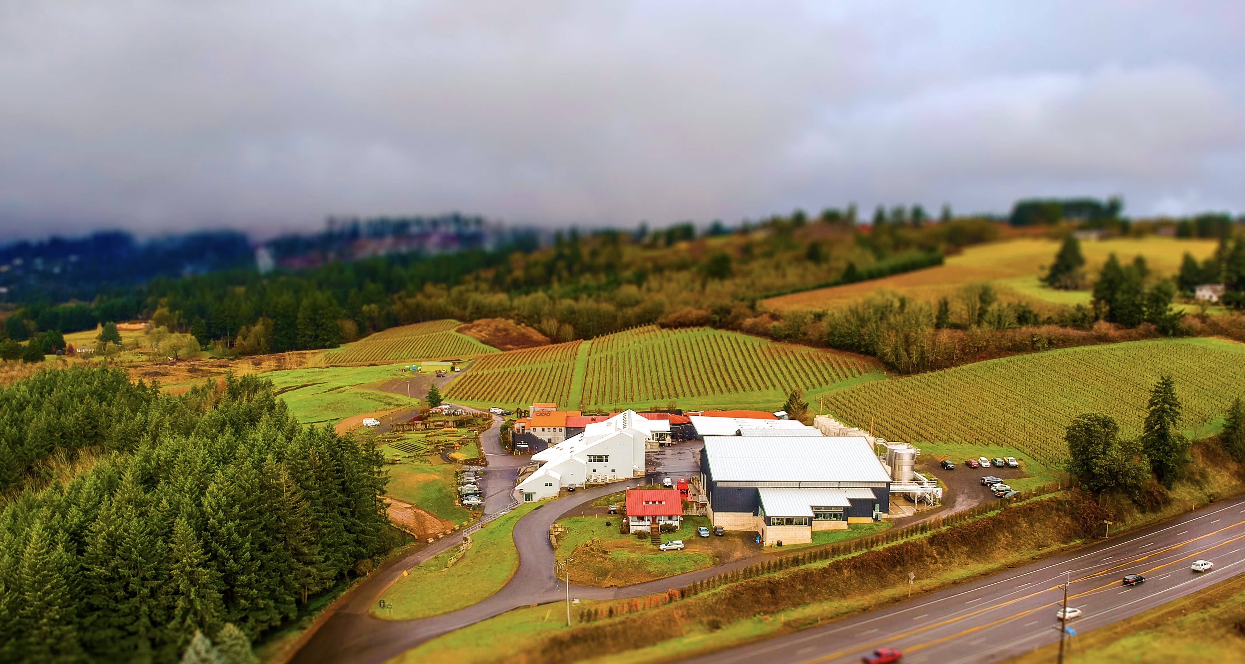 A to Z Bubbles Cans - Oregon Wines of Exceptional Quality