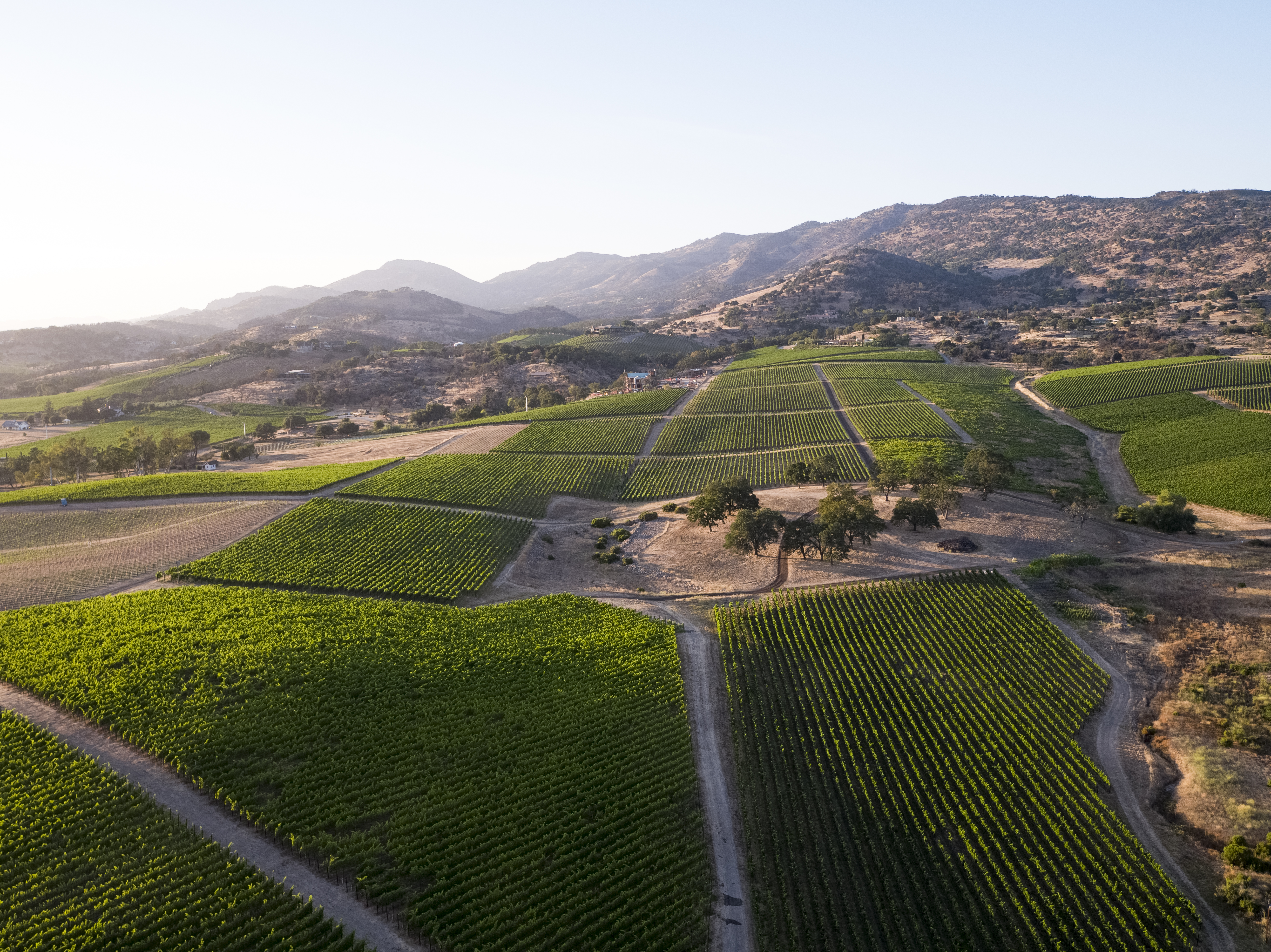 Silver Oak Napa Valley Cabernet Sauvignon 2011 | Wine.com