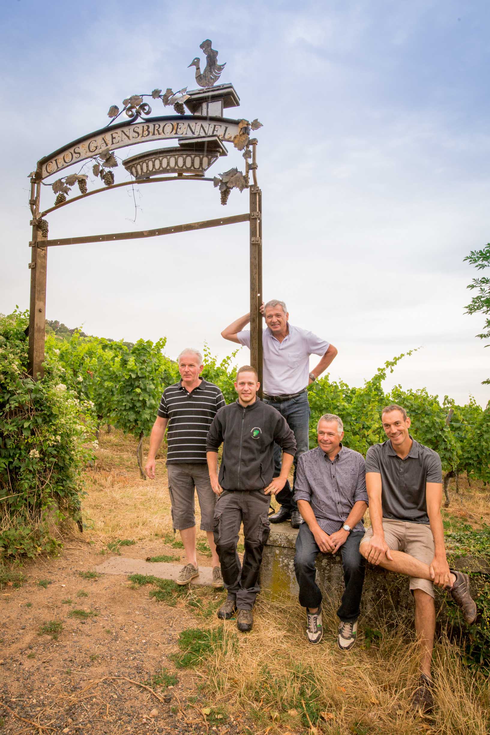 Willm Pinot Gris Reserve 2022 | Wine.com