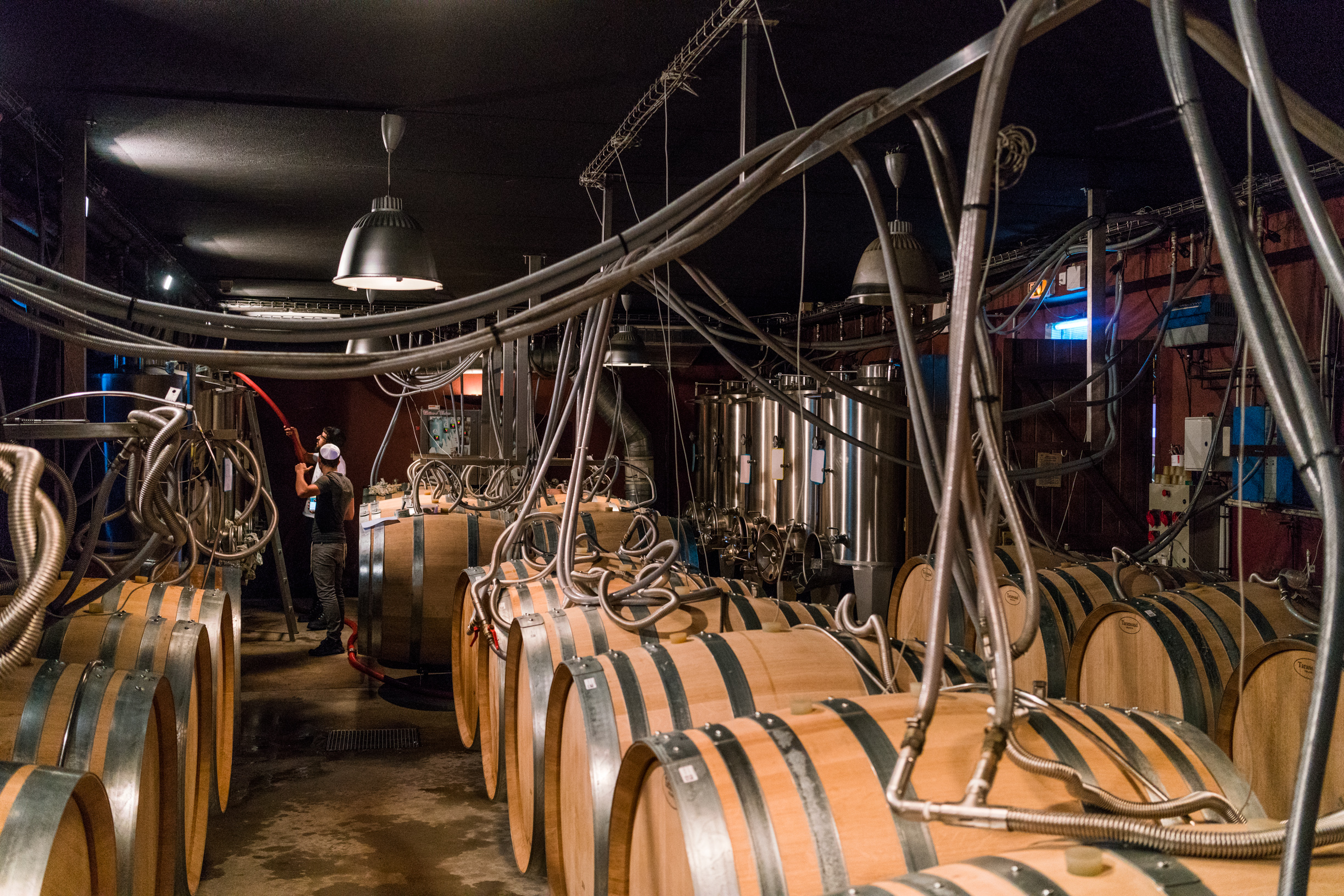 Côtes de Provence Rosé 2019 - Château d'Esclans