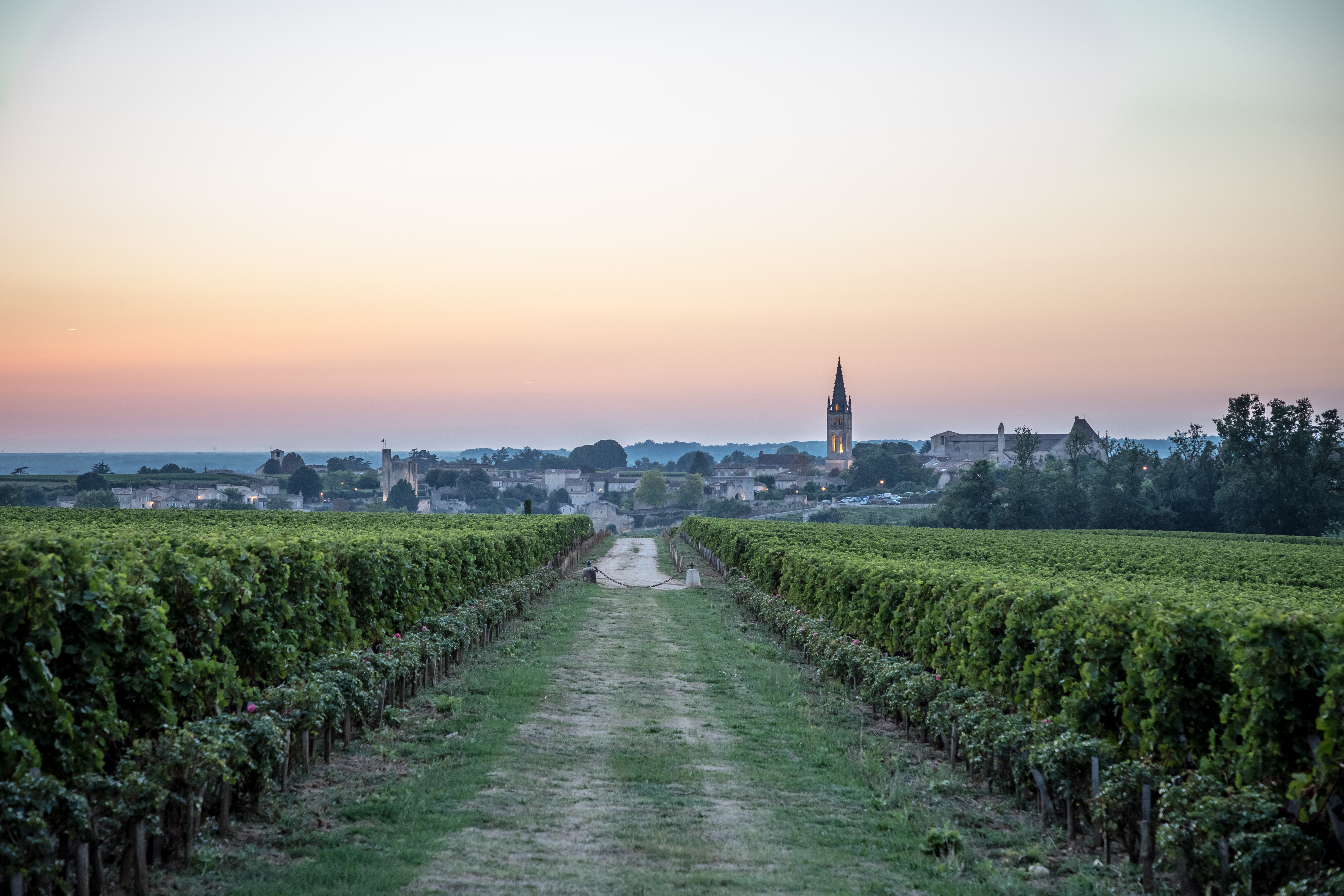 MONDOT 2015 サンミリオン GC 750ml【クール便対応】 MONDOT 2015 サンミリオン GC 750ml【クール便対応】 - メルカリ