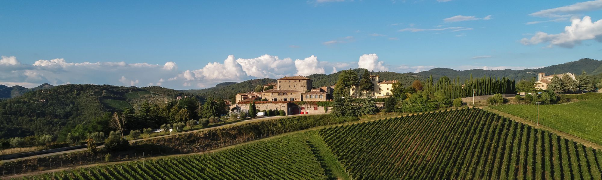 Tenuta di Capraia Chianti Classico Effe 55 Gran Selezione 2019