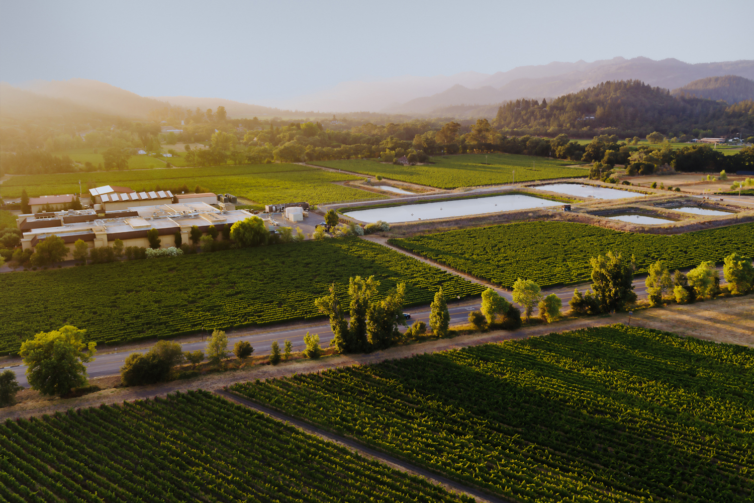 Markham Merlot 2021 | Wine.com