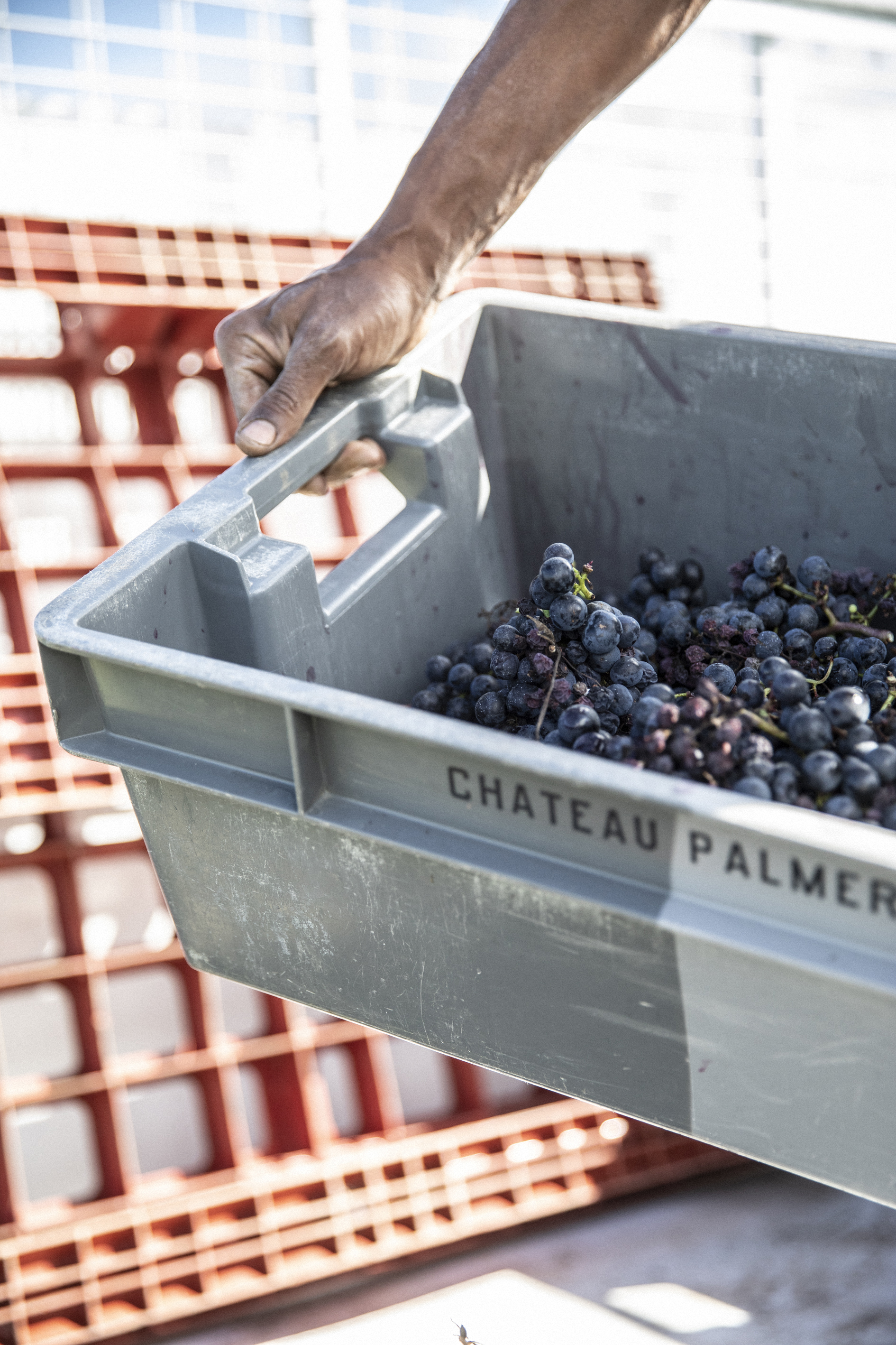 Chateau Palmer 2016 | Wine.com Chateau Palmer 2016 | Wine.com