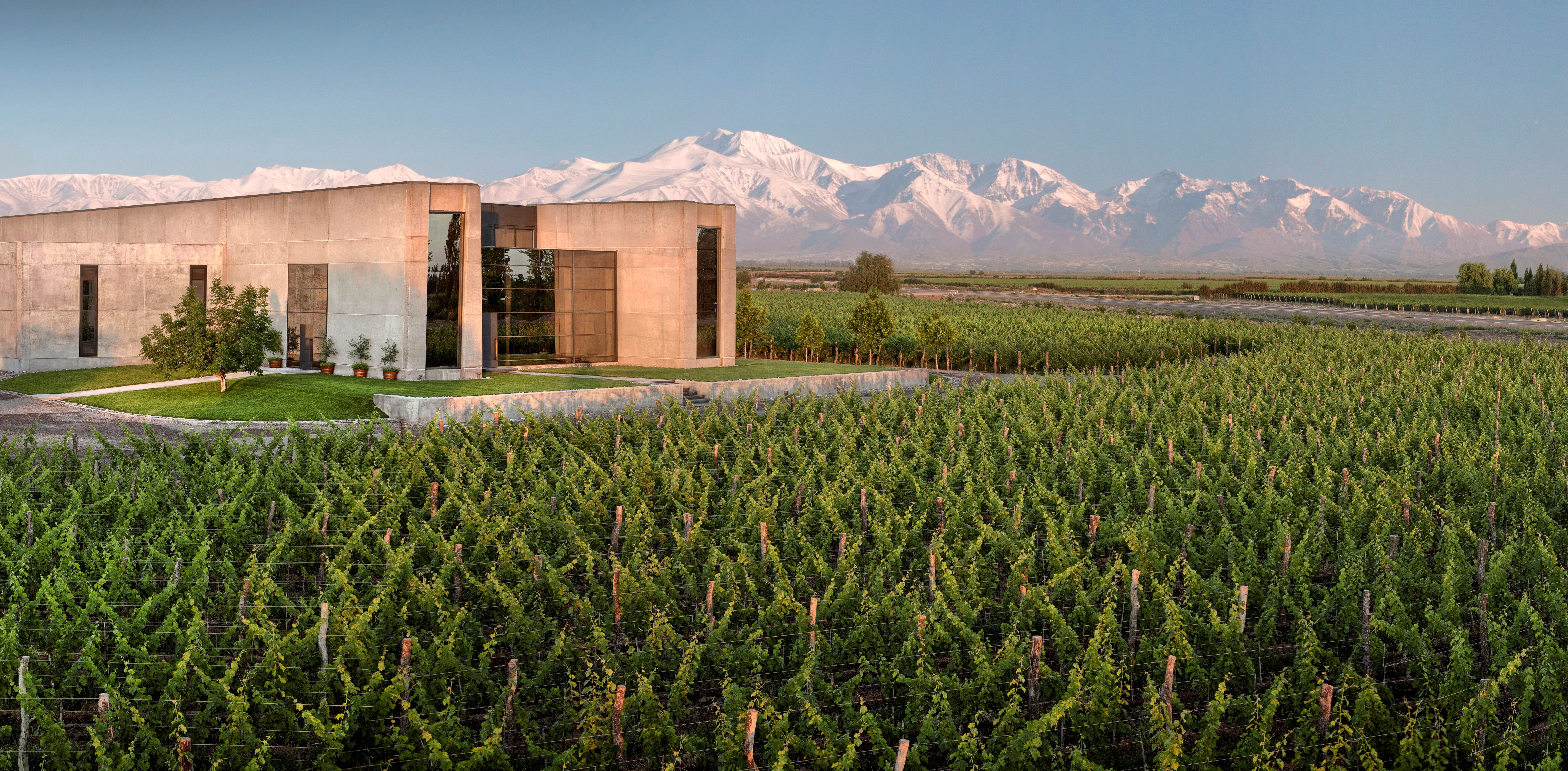 Vina Cobos Cobos Malbec 2011 | Wine.com