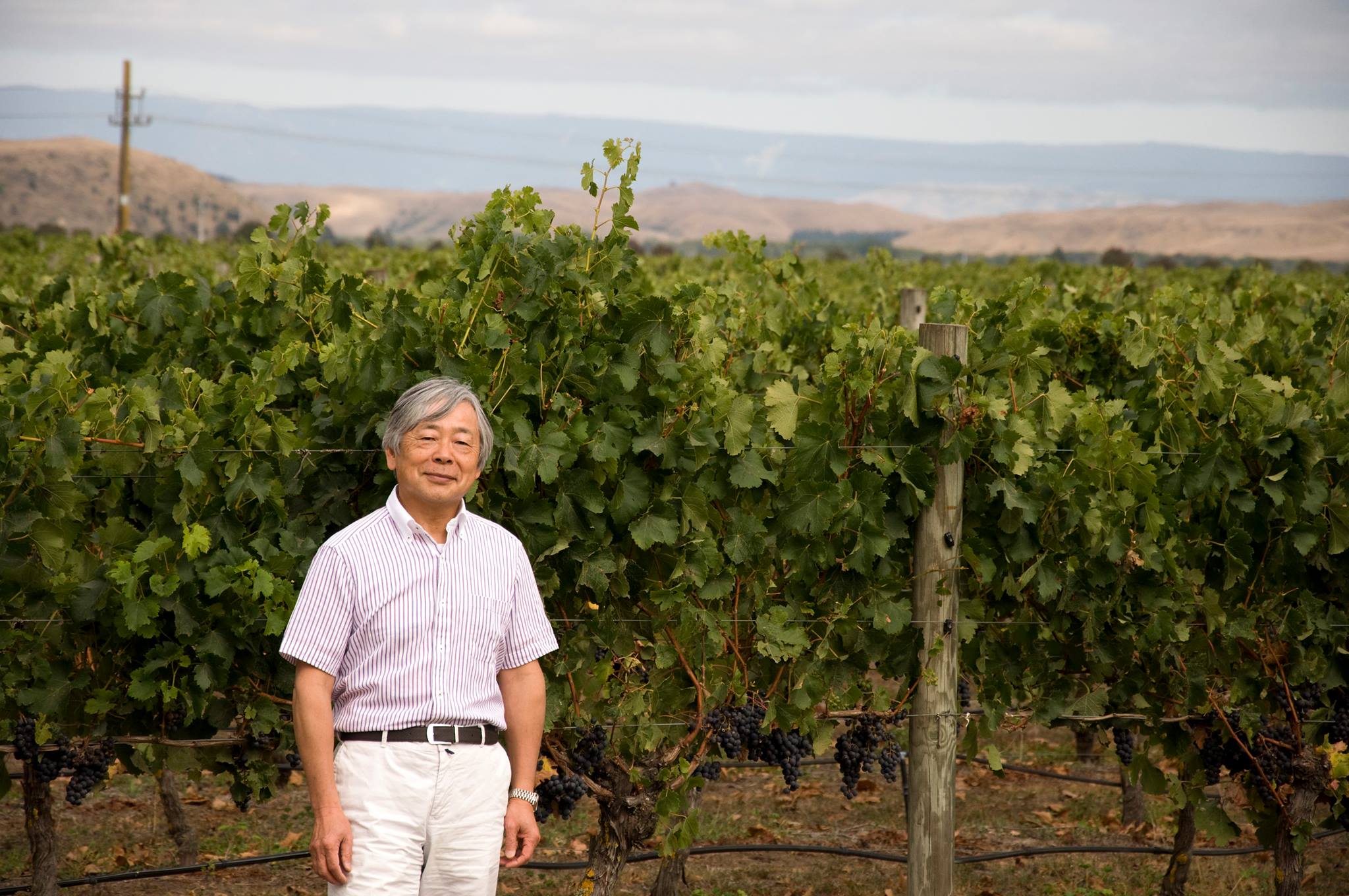 Osawa Wines New Zealand