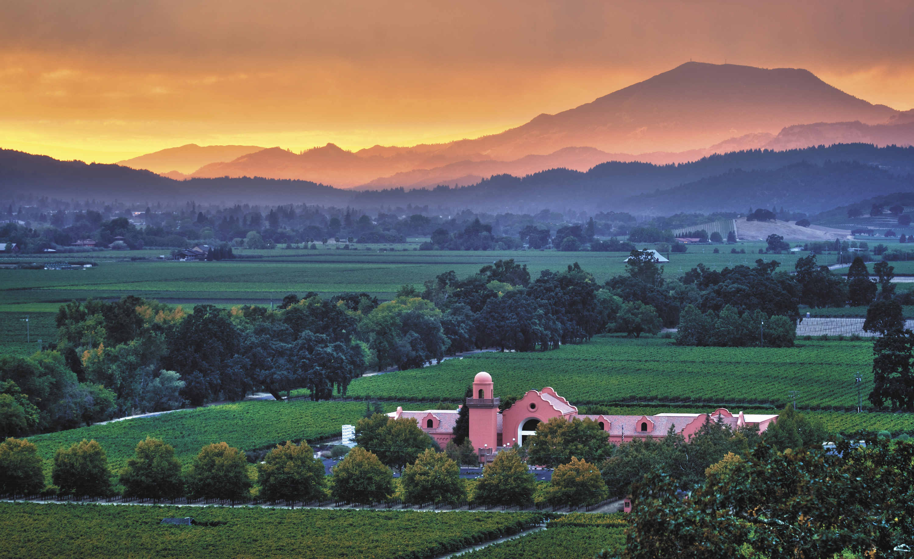 Groth Cabernet Sauvignon 2014 | Wine.com