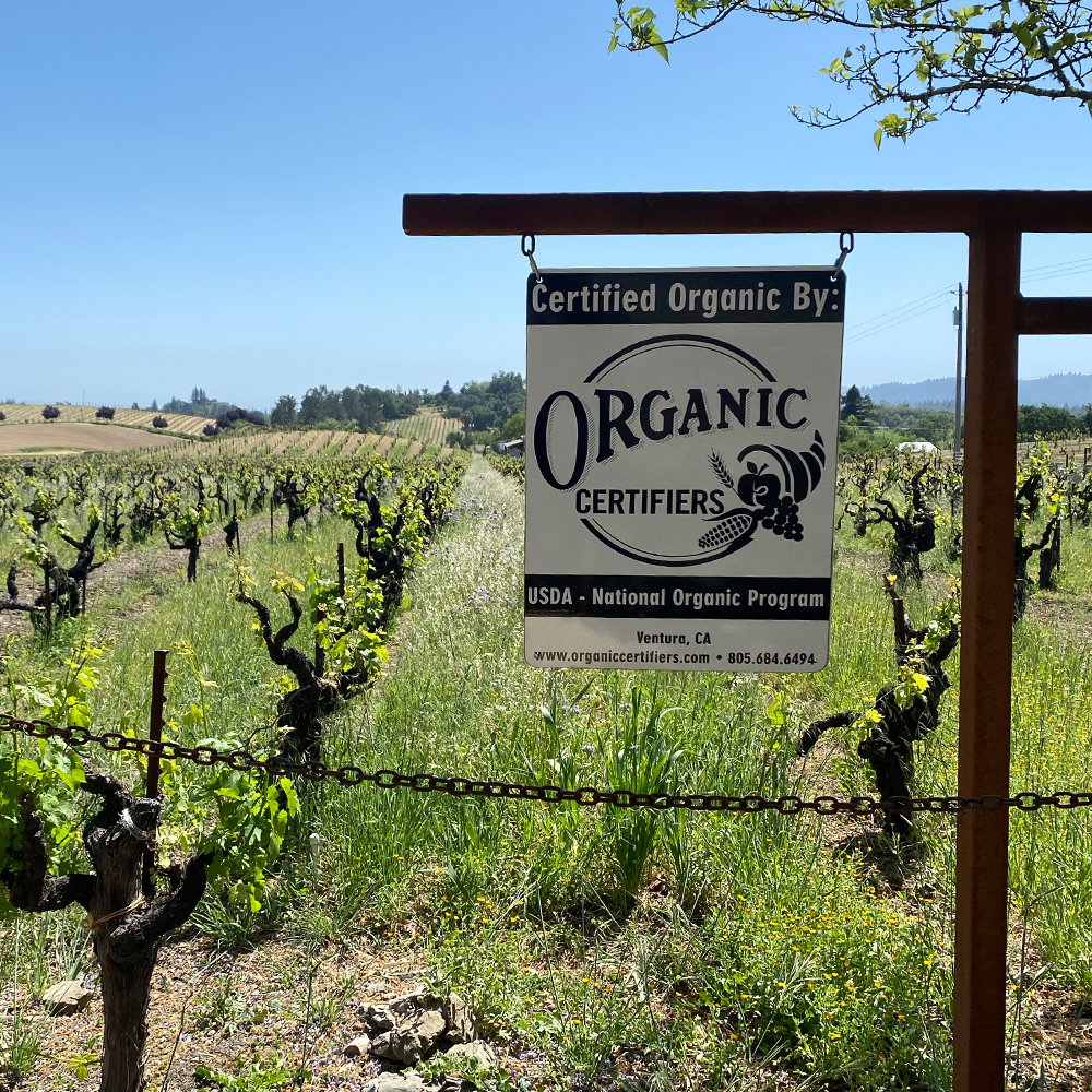 Ridge Lytton Springs Red Blend 2016 | Wine.com Ridge Lytton Springs Red Blend 2016 | Wine.com