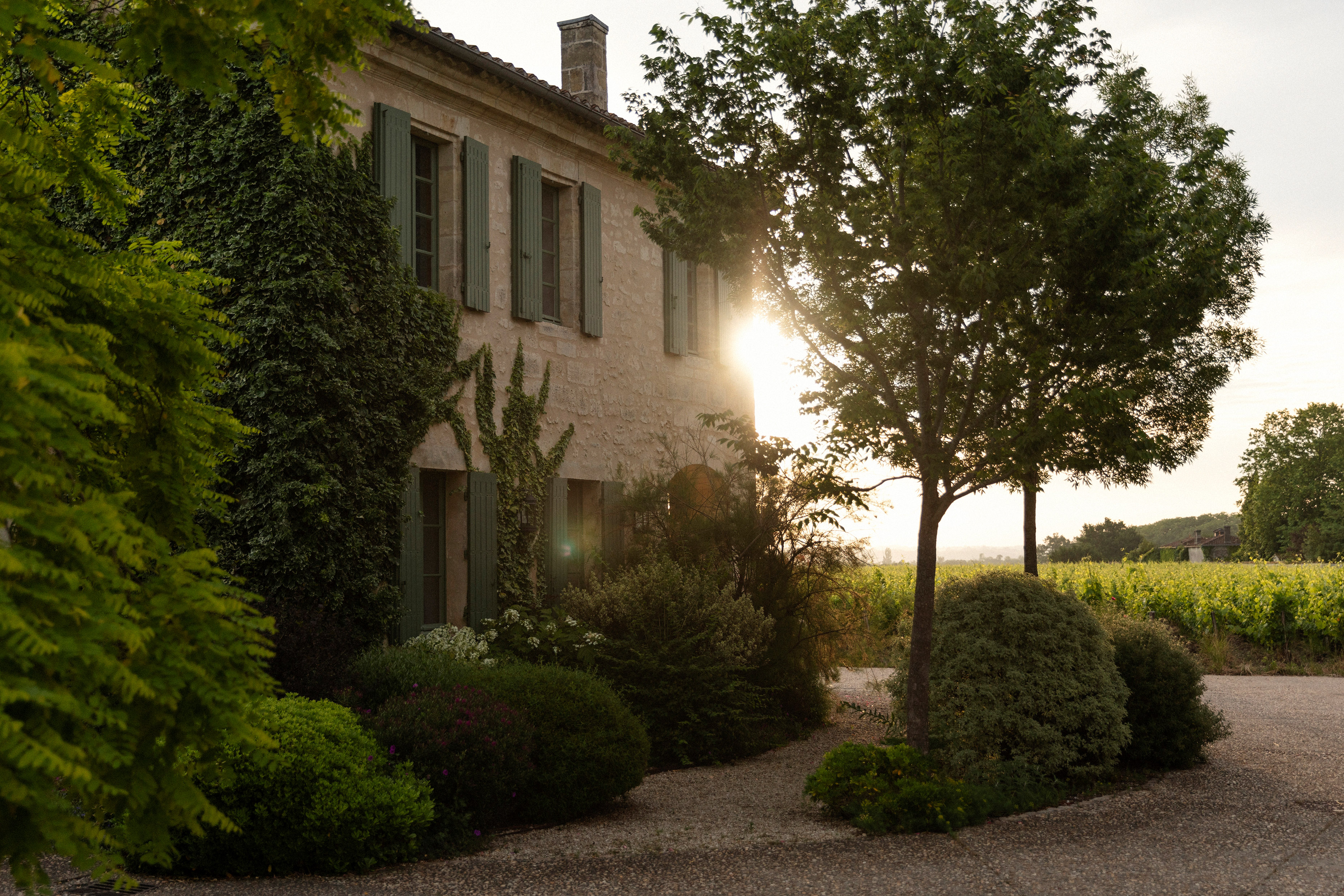 Chateau Palmer 2019 | Wine.com Chateau Palmer 2019 | Wine.com