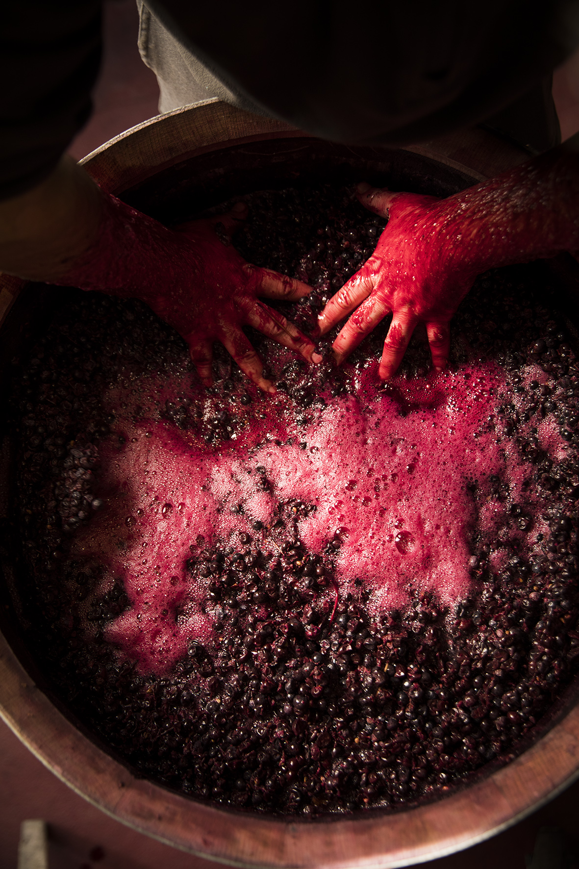 Abadia Retuerta Wine - Learn About & Buy Online | Wine.com