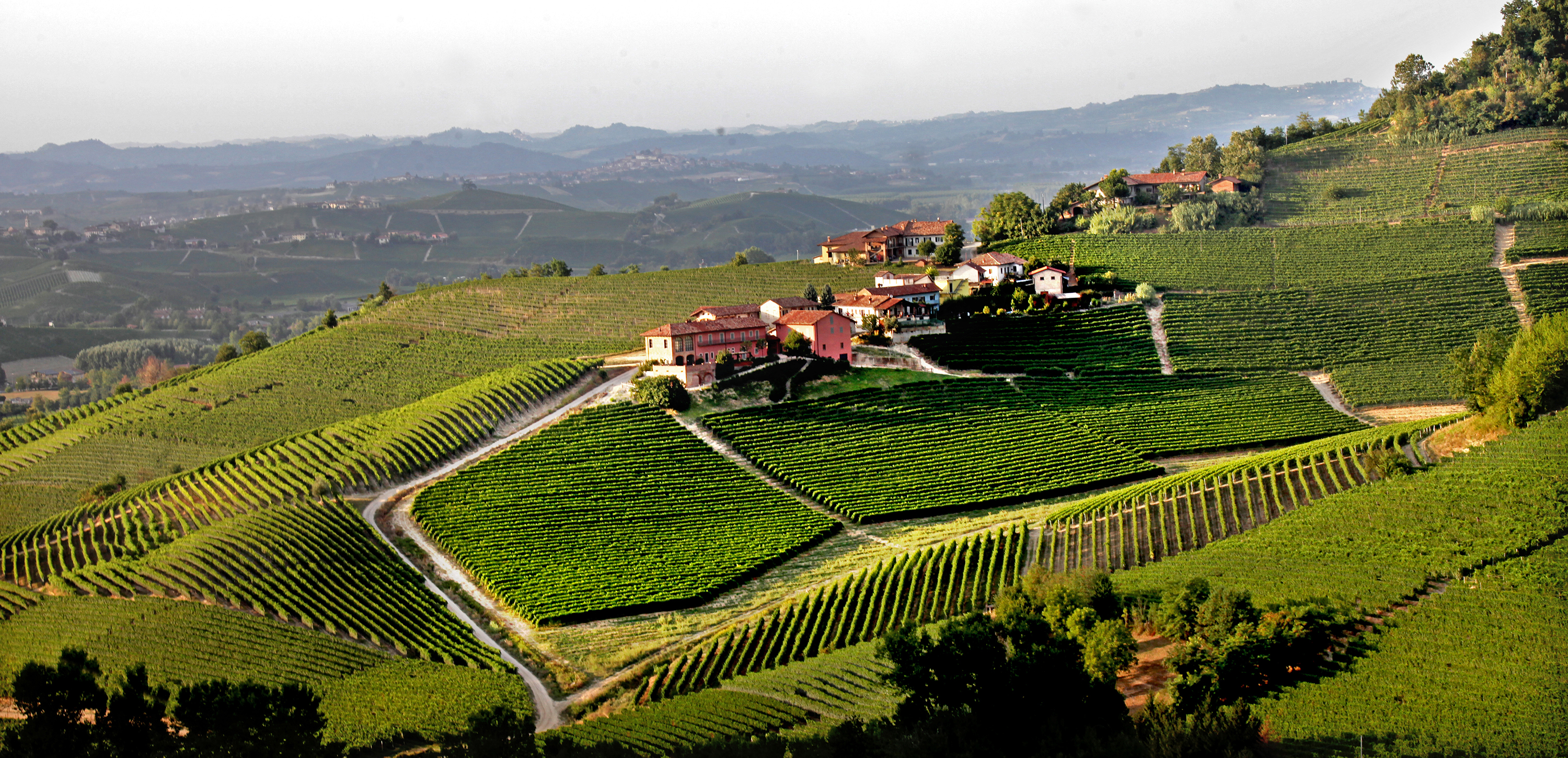 Prunotto Dolcetto d'Alba 2021