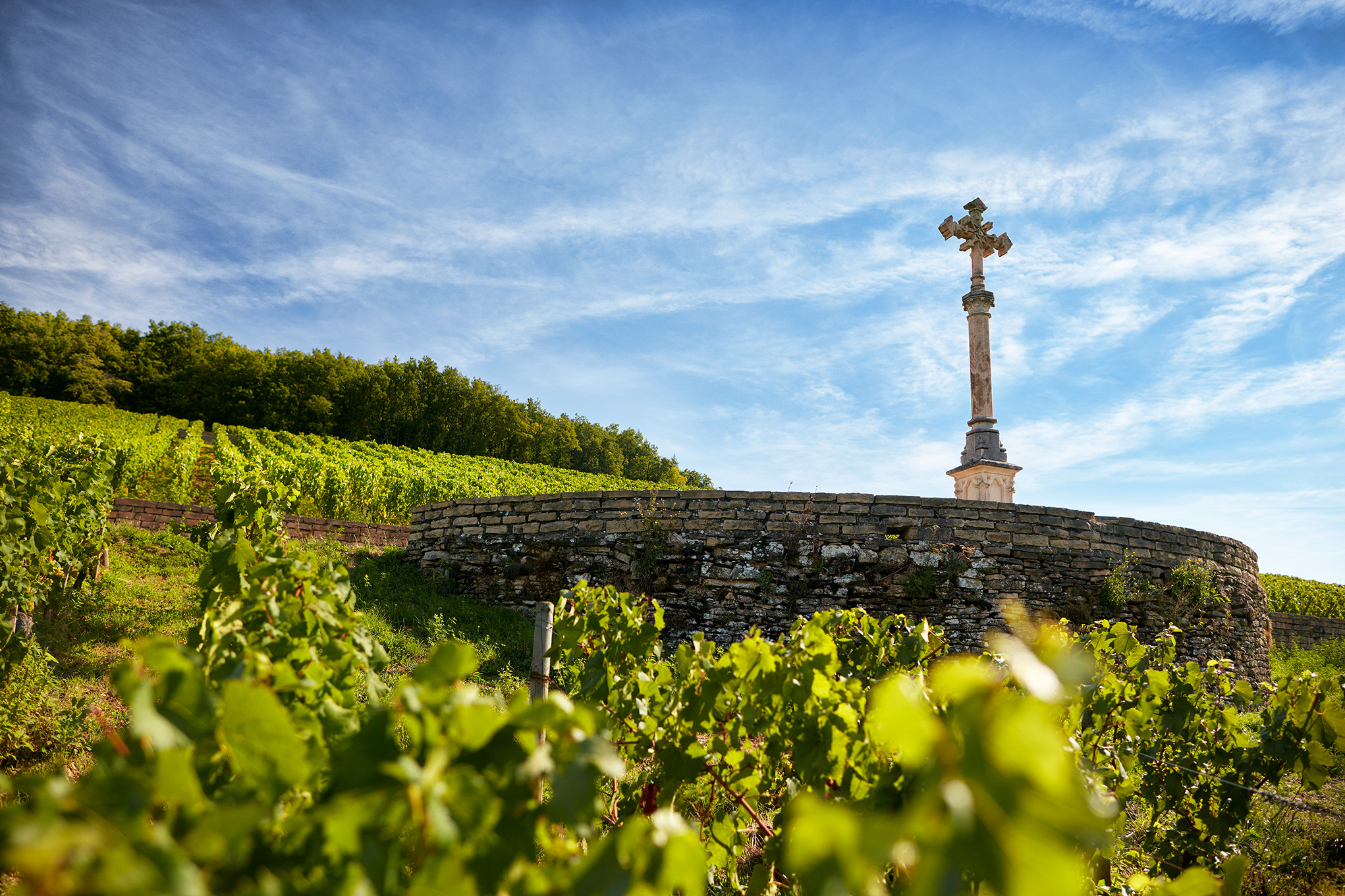 Louis Latour Chateau Corton Grancey Grand Cru 2019 | Wine.com Louis Latour Chateau Corton Grancey Grand Cru 2019 | Wine.com