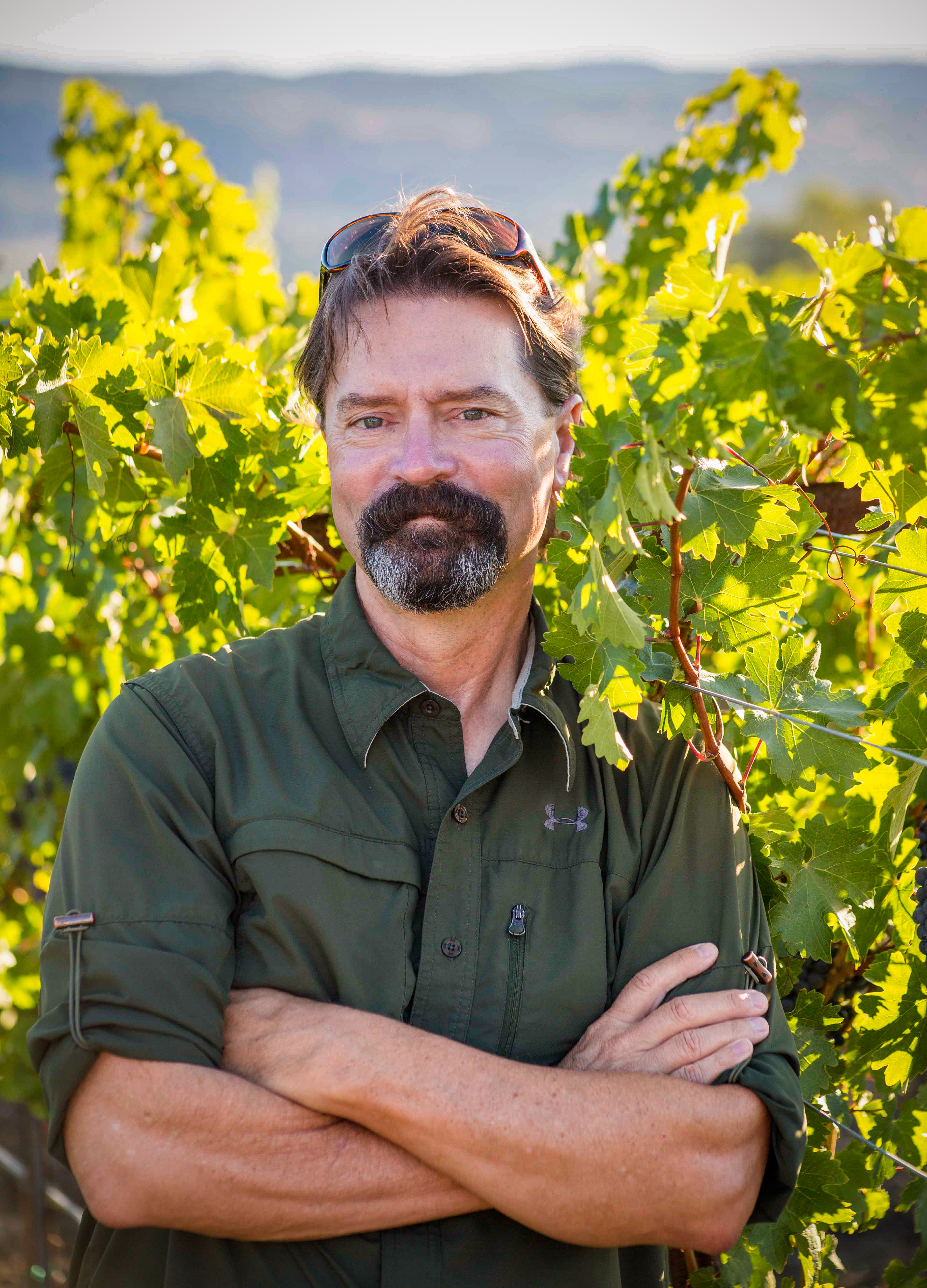 Oberon Chardonnay 2021 | Wine.com