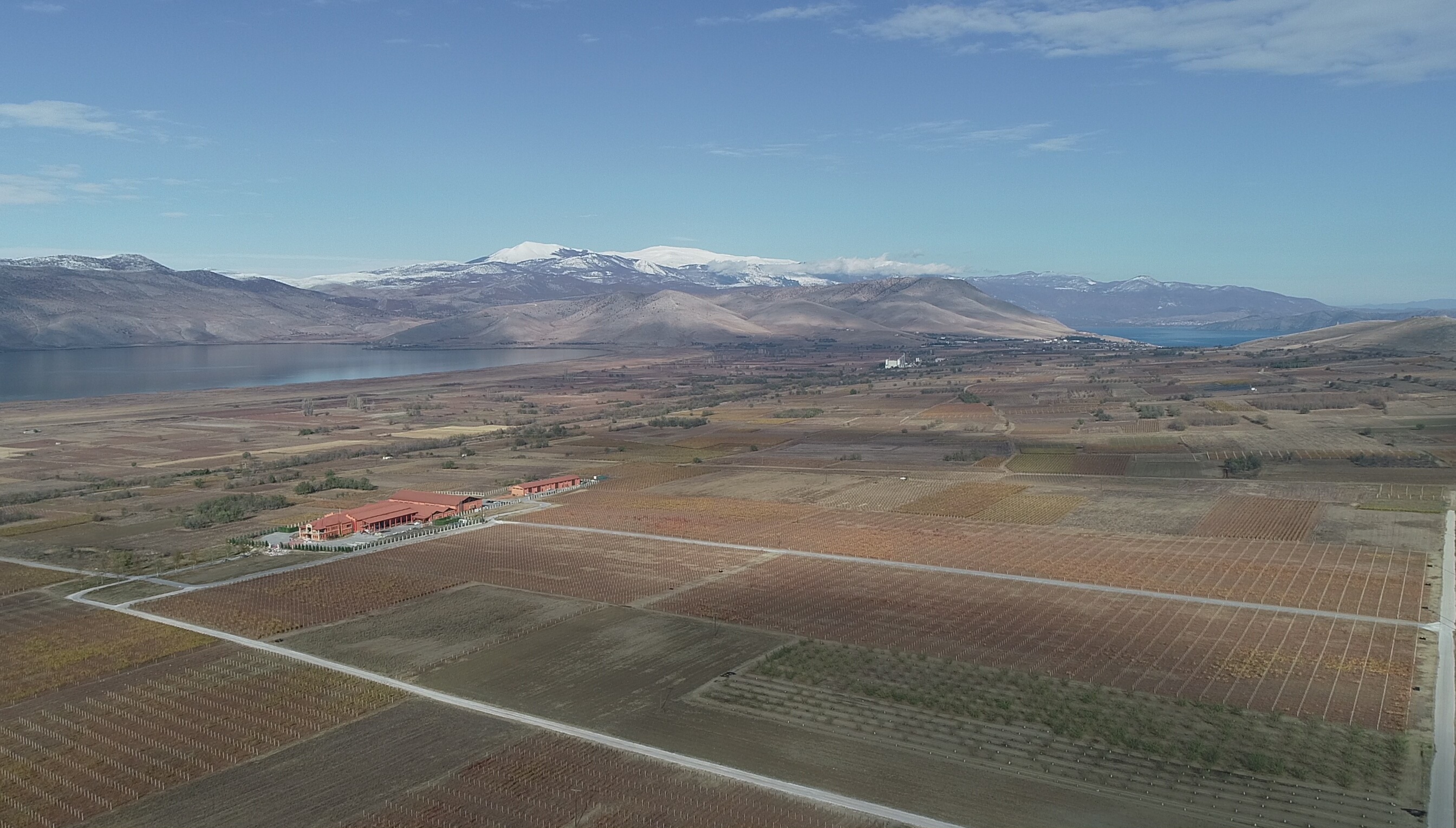 Hedgehog Estate Alpha Vineyard 2020 Xinomavro