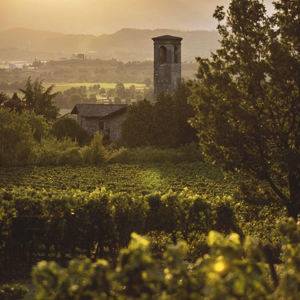 Bellavista Franciacorta La Scala Vendemmia Brut 2018 | Wine.com