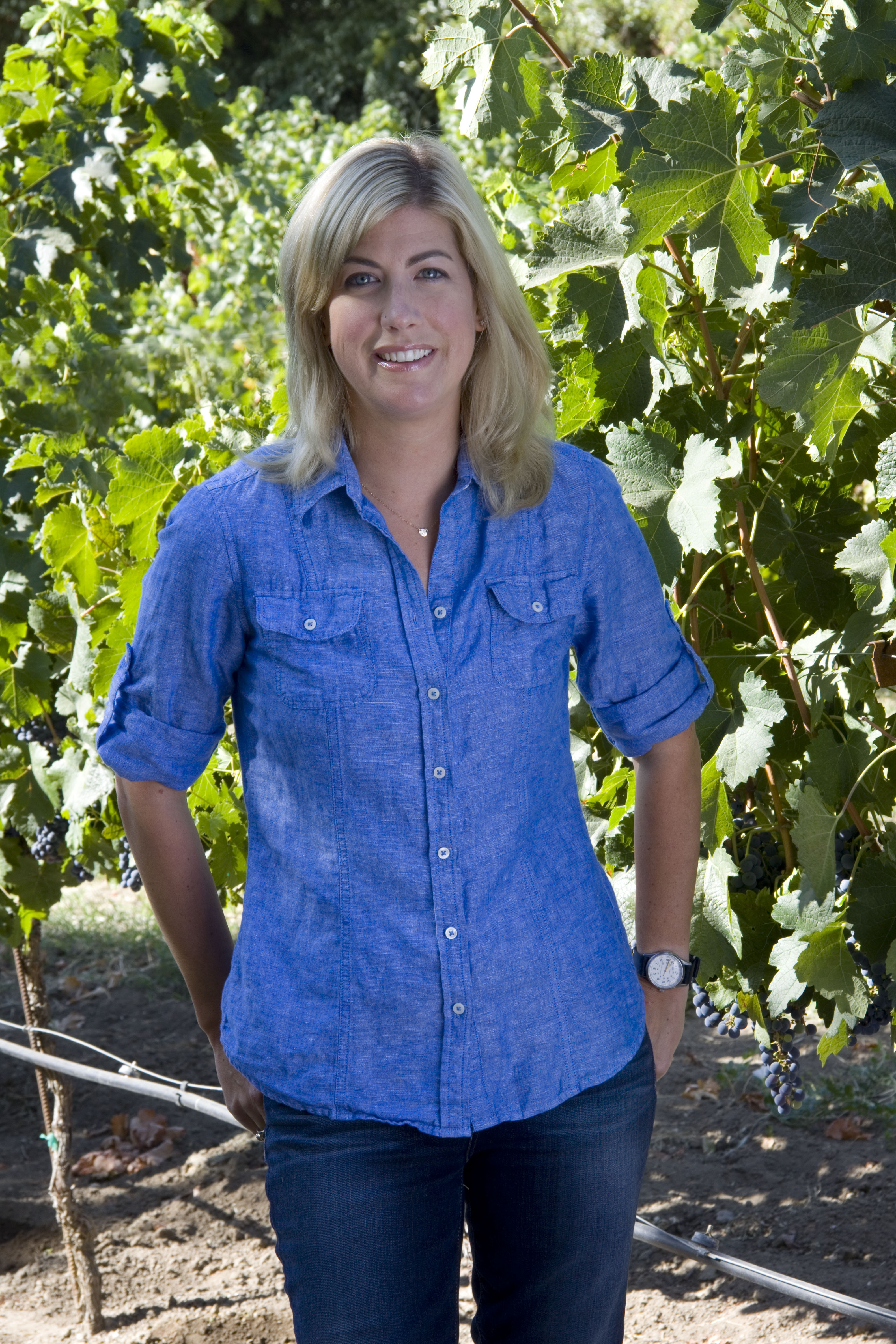 Duckhorn Napa Valley Merlot 2020 | Wine.com