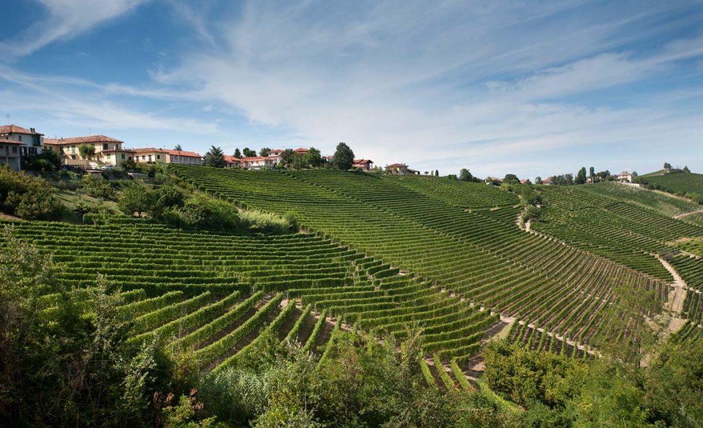 Pio Cesare Barolo 2019 | Wine.com