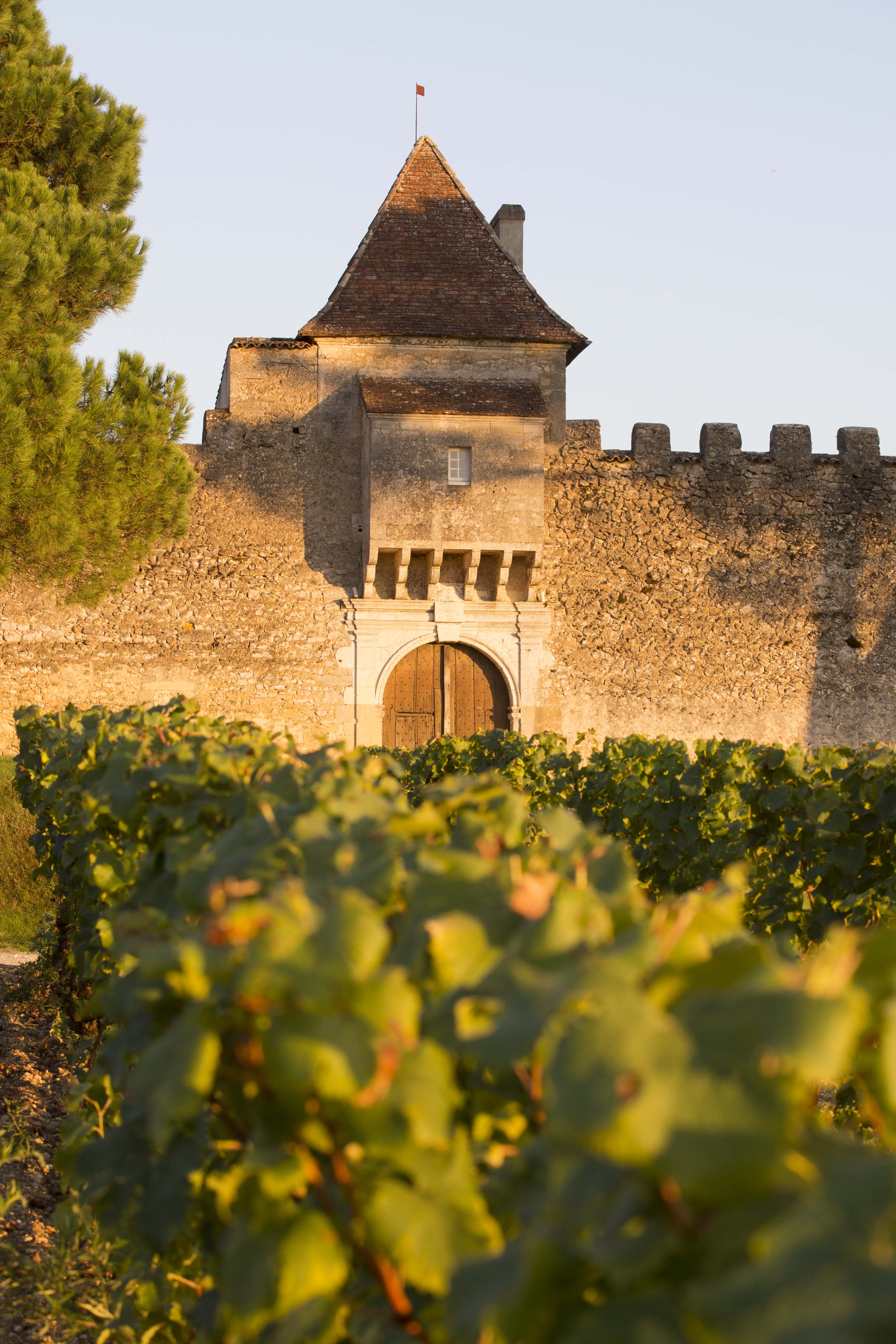 Chateau d\'Yquem (375ML 2016 Sauternes half-bottle)