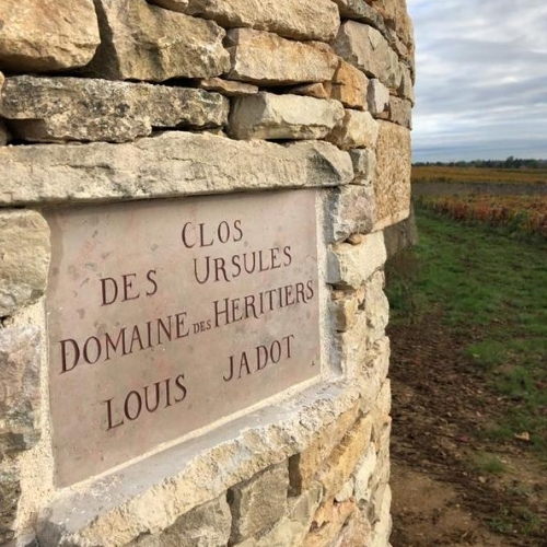 2020 Louis Jadot Domaine des Heritiers Beaune Clos des Ursules 1er Cru