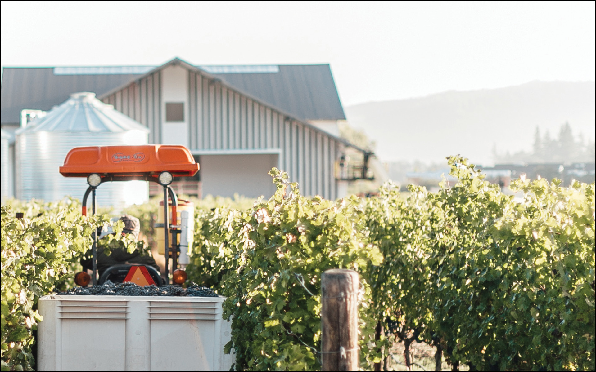 John Elway Discusses Winning Strategy To Winemaking With 7Cellars