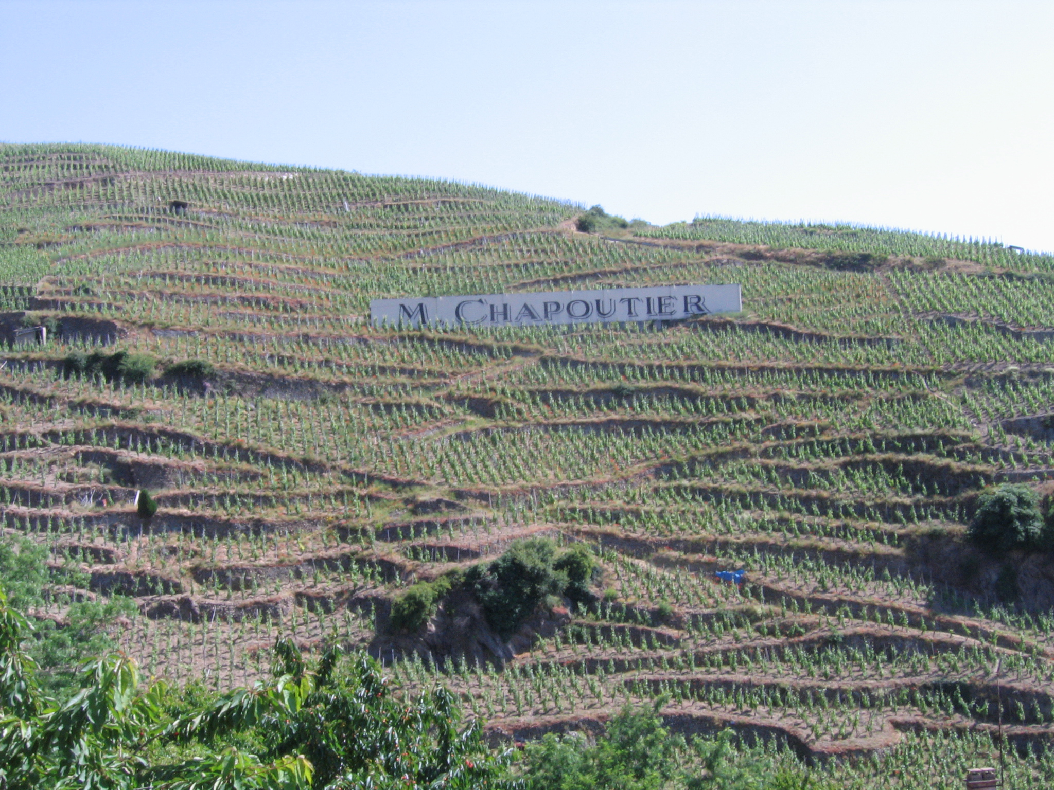 M. Chapoutier Ermitage Le Pavillon 2012 | Wine.com