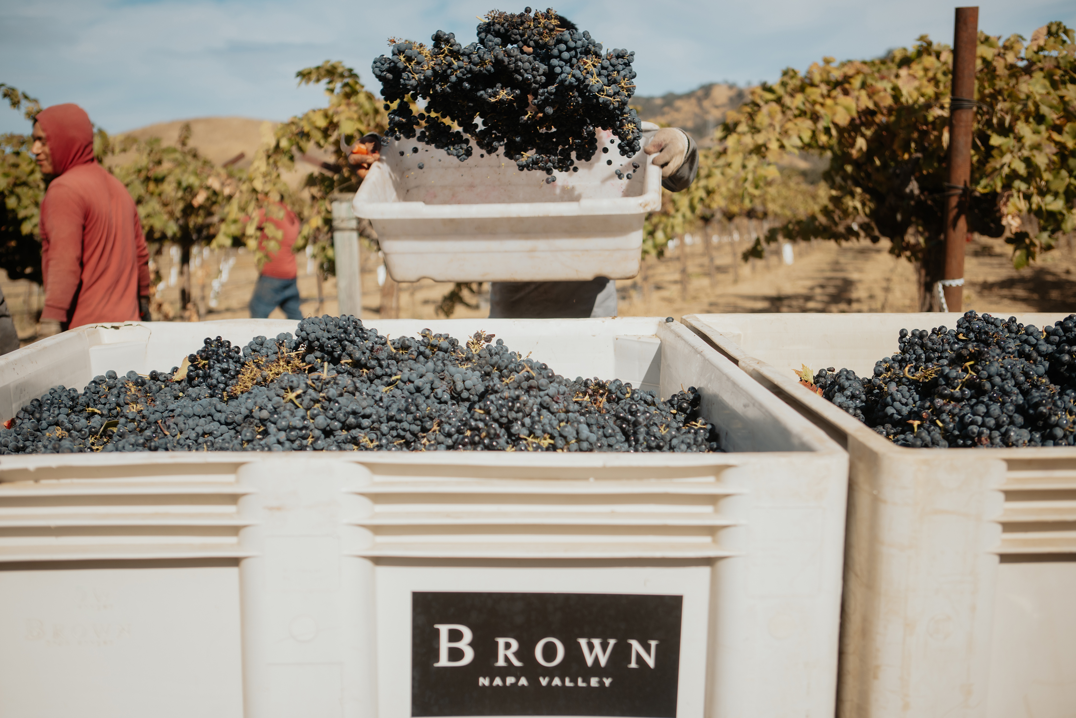 Brown Estate Zinfandel 2018 | Wine.com