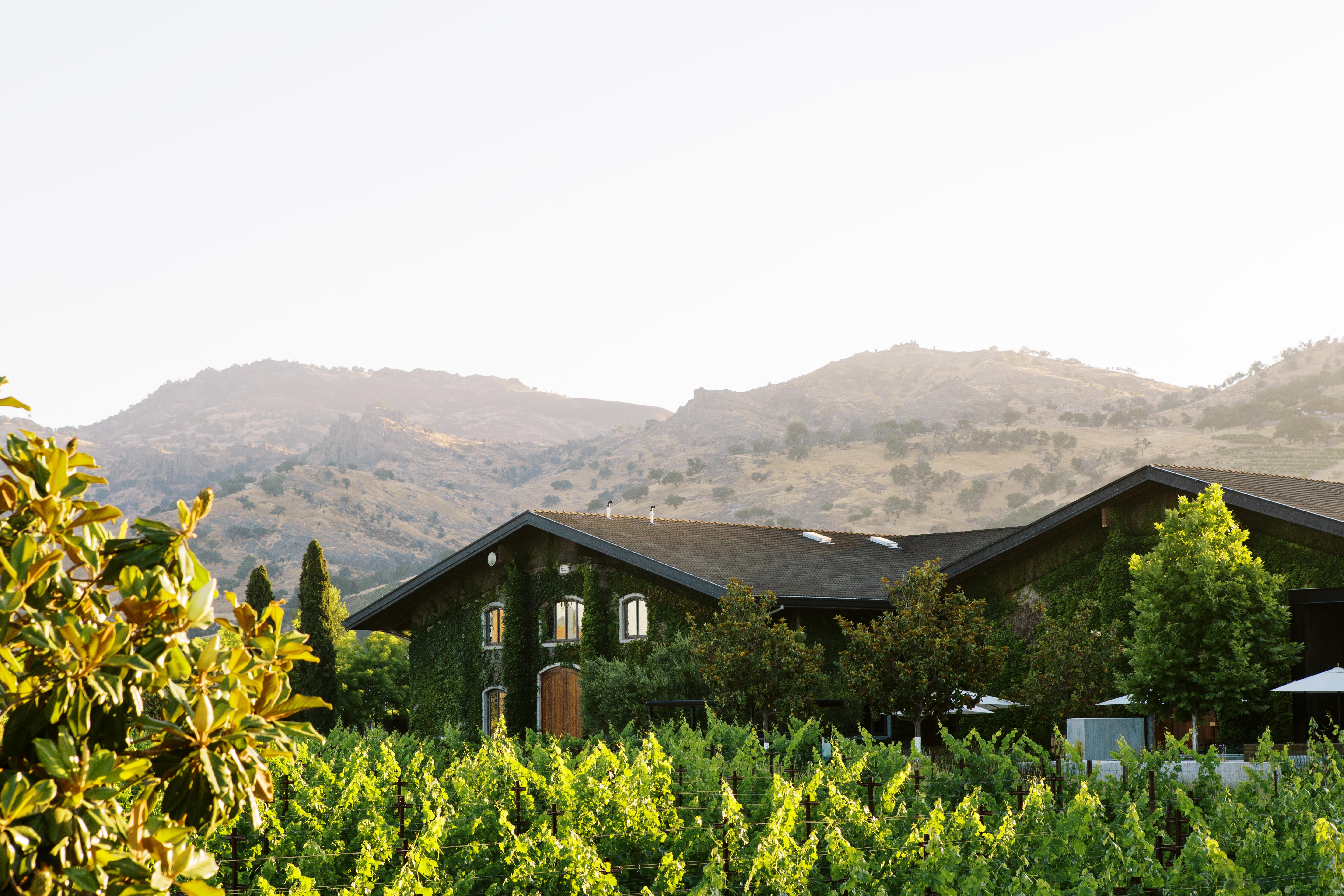 Clos du Val Wine - Learn About & Buy Online | Wine.com