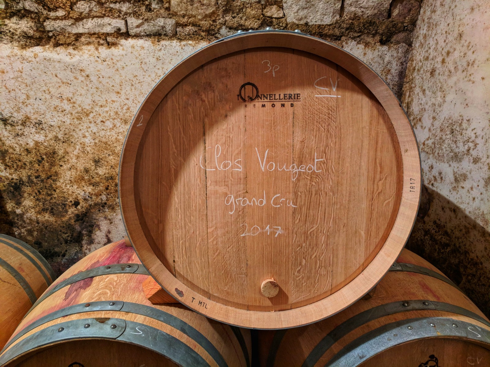 Patrice Rion Nuits-Saint-Georges Vieilles Vignes 2021 | Wine.com
