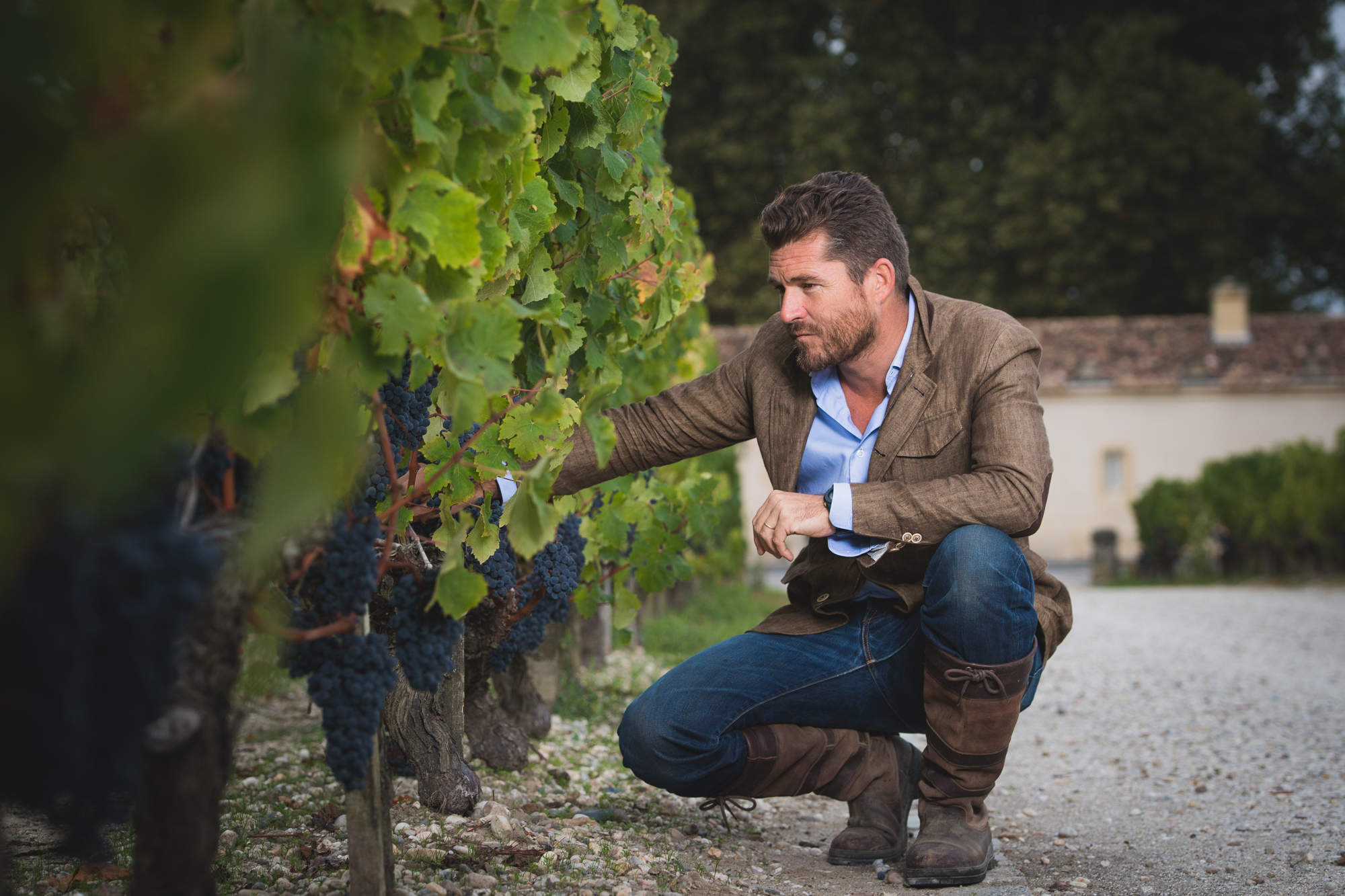 Chateau Rauzan-Segla 2019 | Wine.com