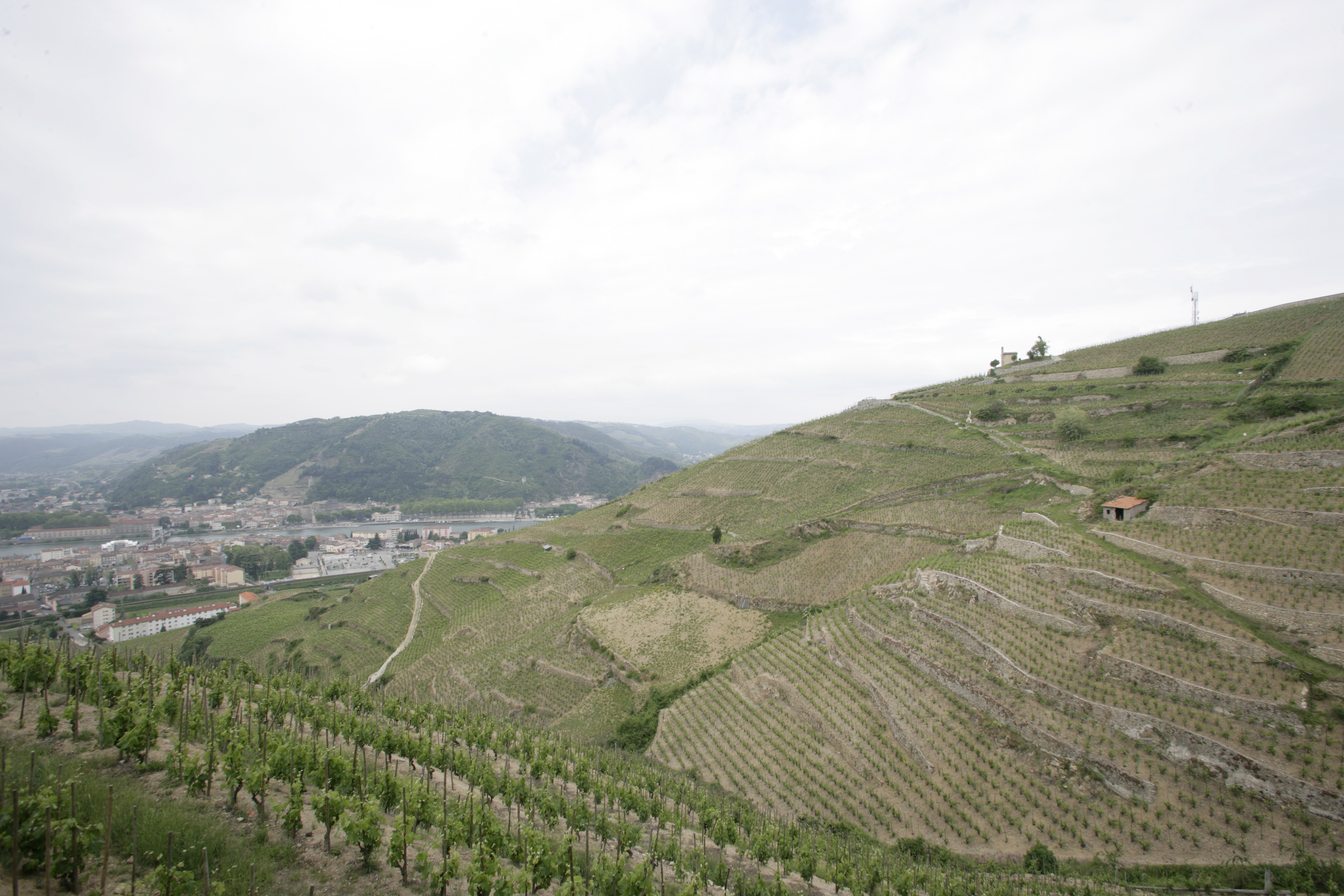 M. Chapoutier Ermitage Le Pavillon 2012 | Wine.com