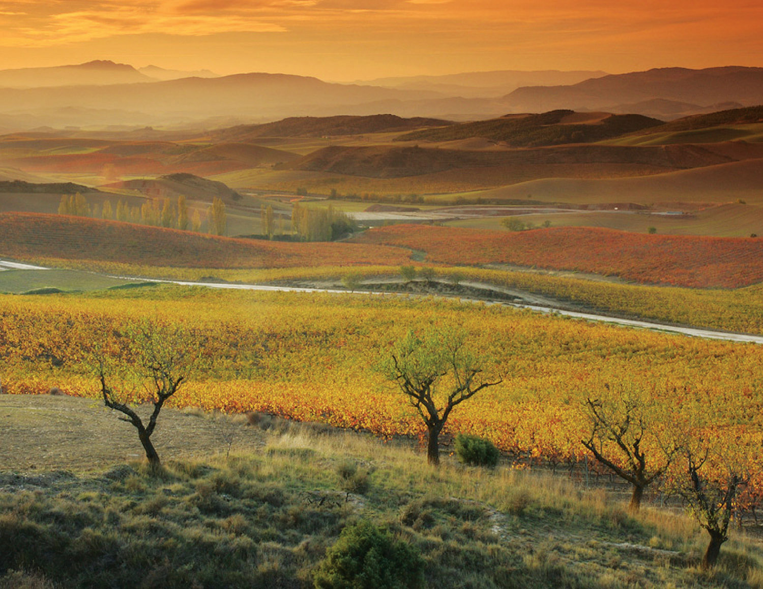 Bodegas Nekeas El Chaparral de Vega Sindoa Old Vines Garnacha 2020