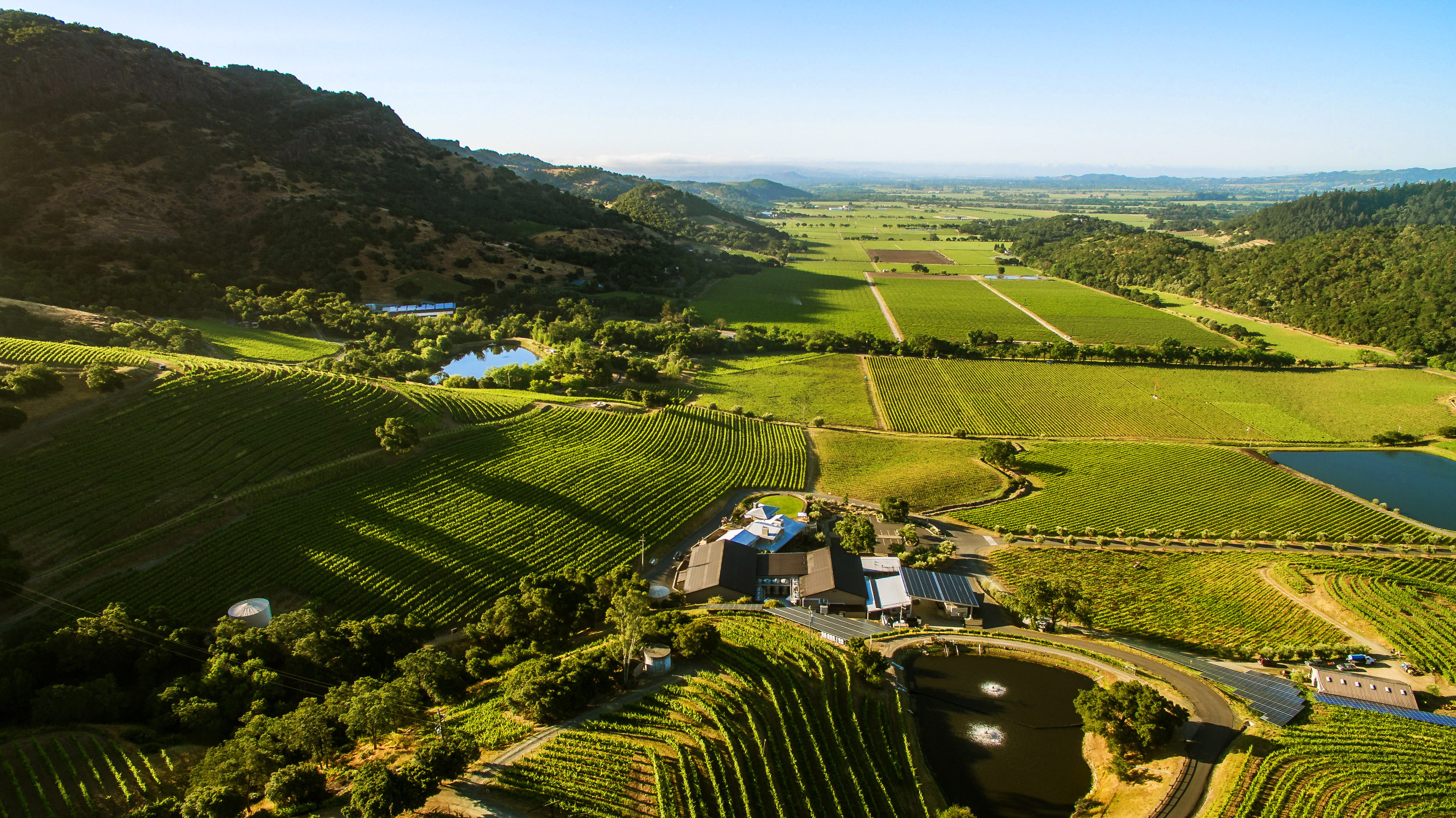 Shafer Hillside Select Cabernet Sauvignon 2011 | Wine.com