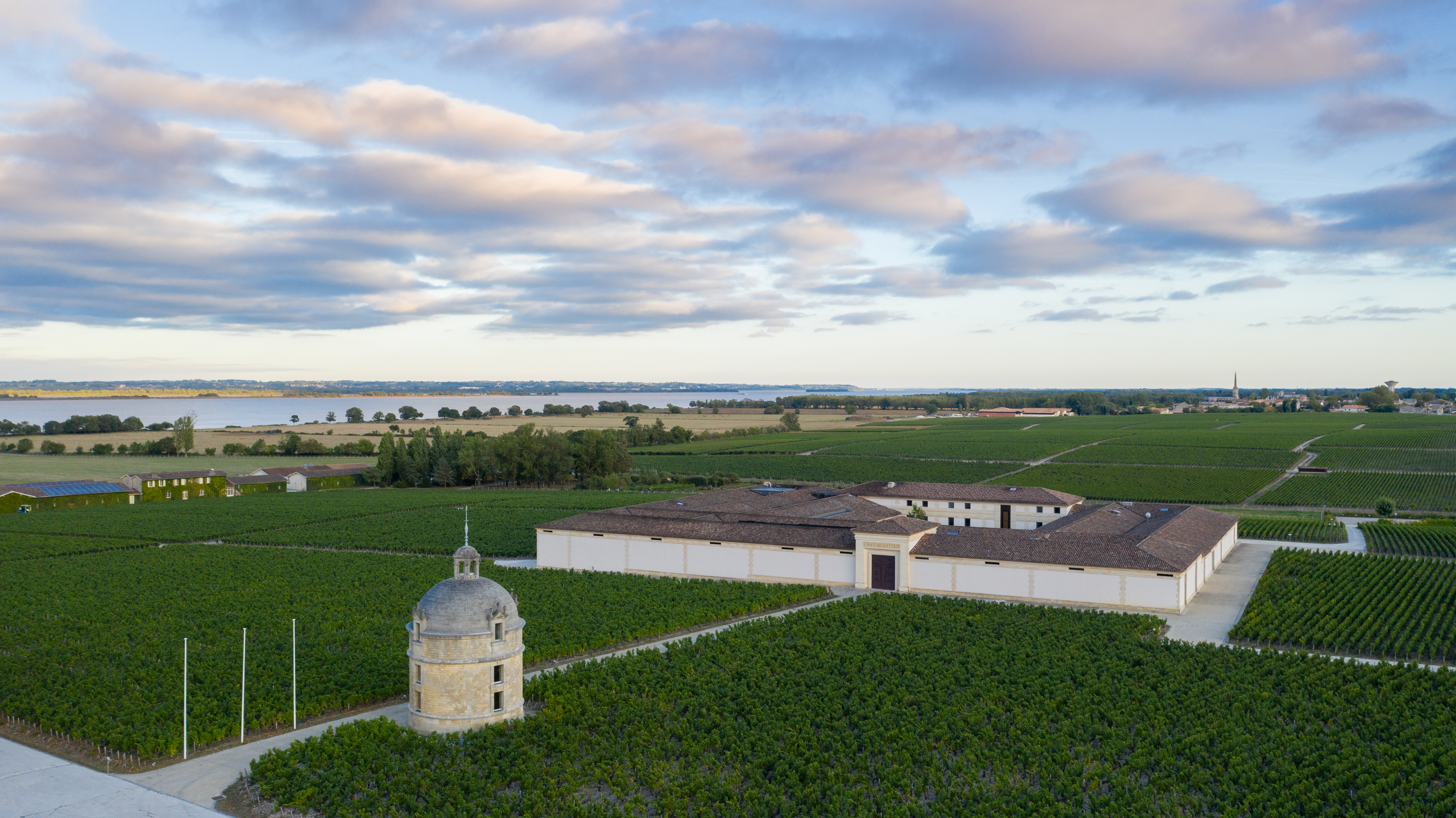 Chateau Latour 1982 | Wine.com Chateau Latour 1982 | Wine.com