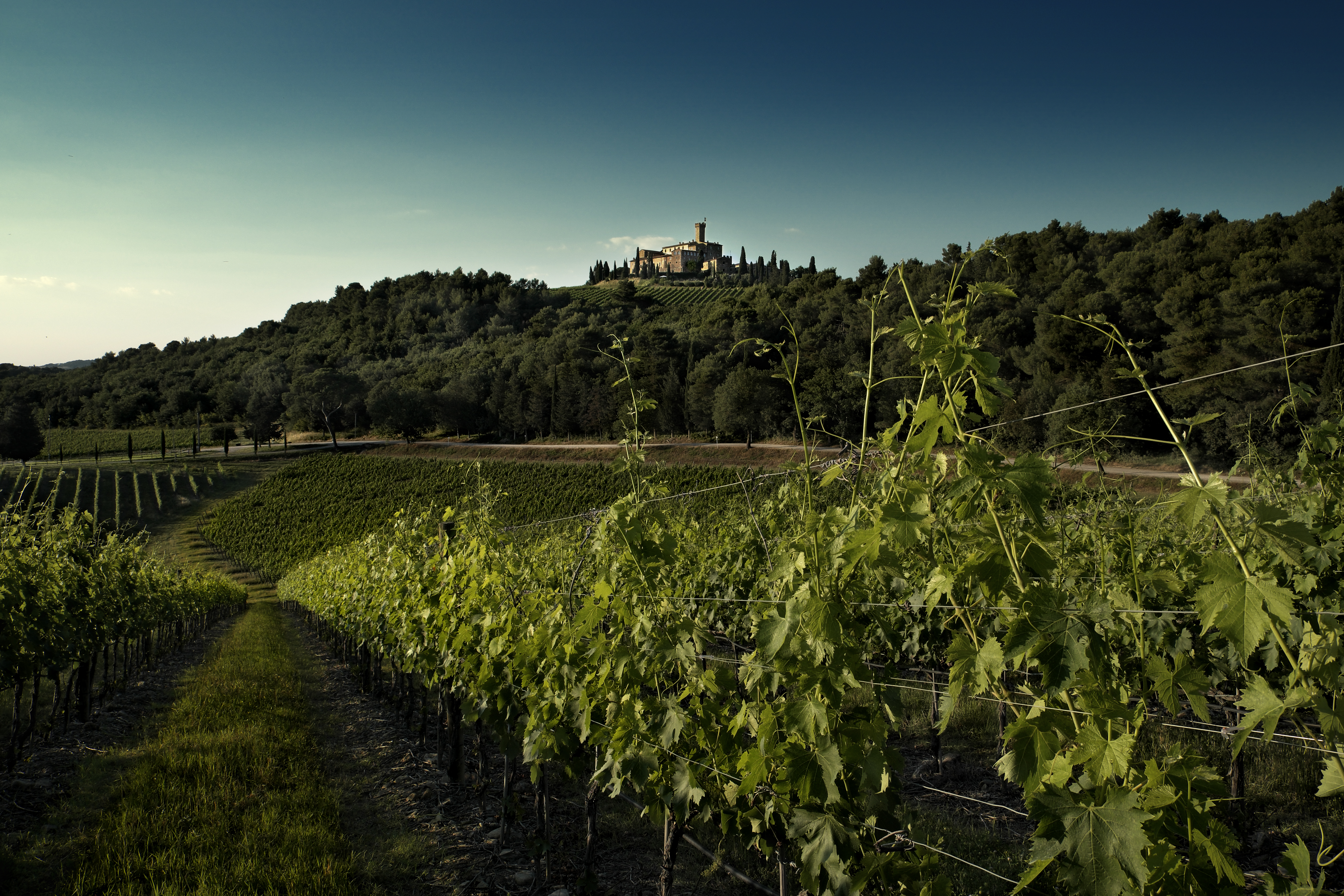 Banfi Rosso 2021 Montalcino di