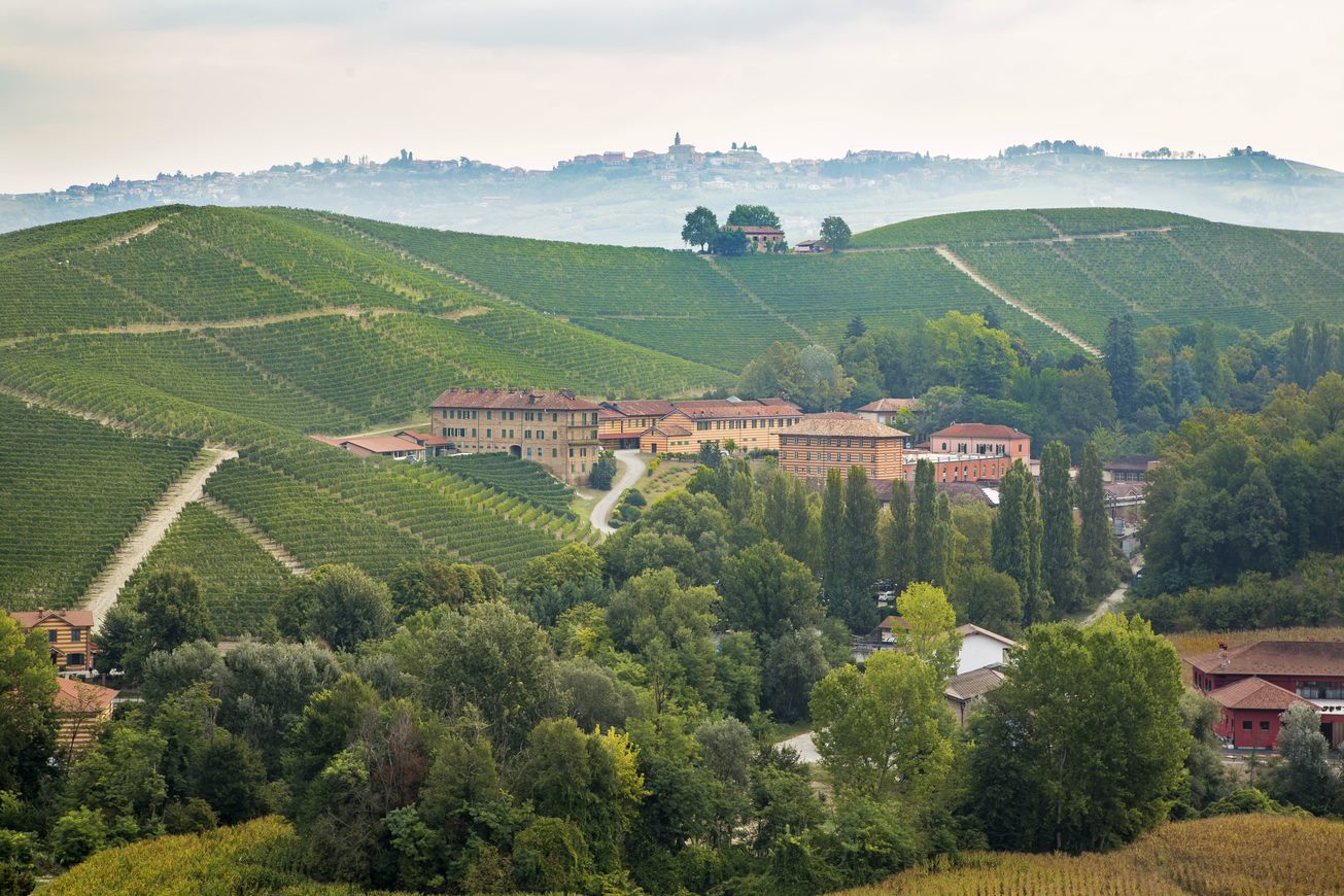 Fontanafredda Serralunga d'Alba Barolo 2012 | Wine.com