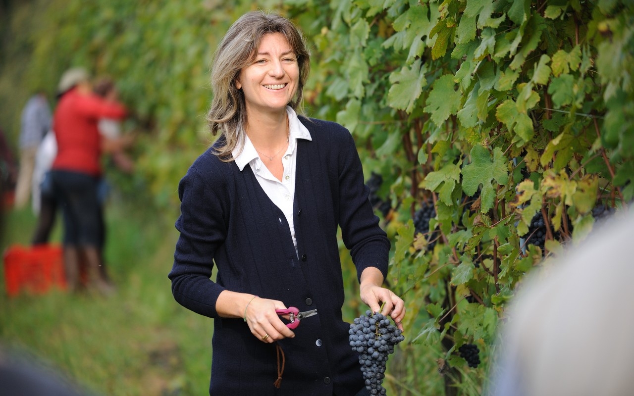 Coste della 2020 Nebbiolo Travaglini Sesia