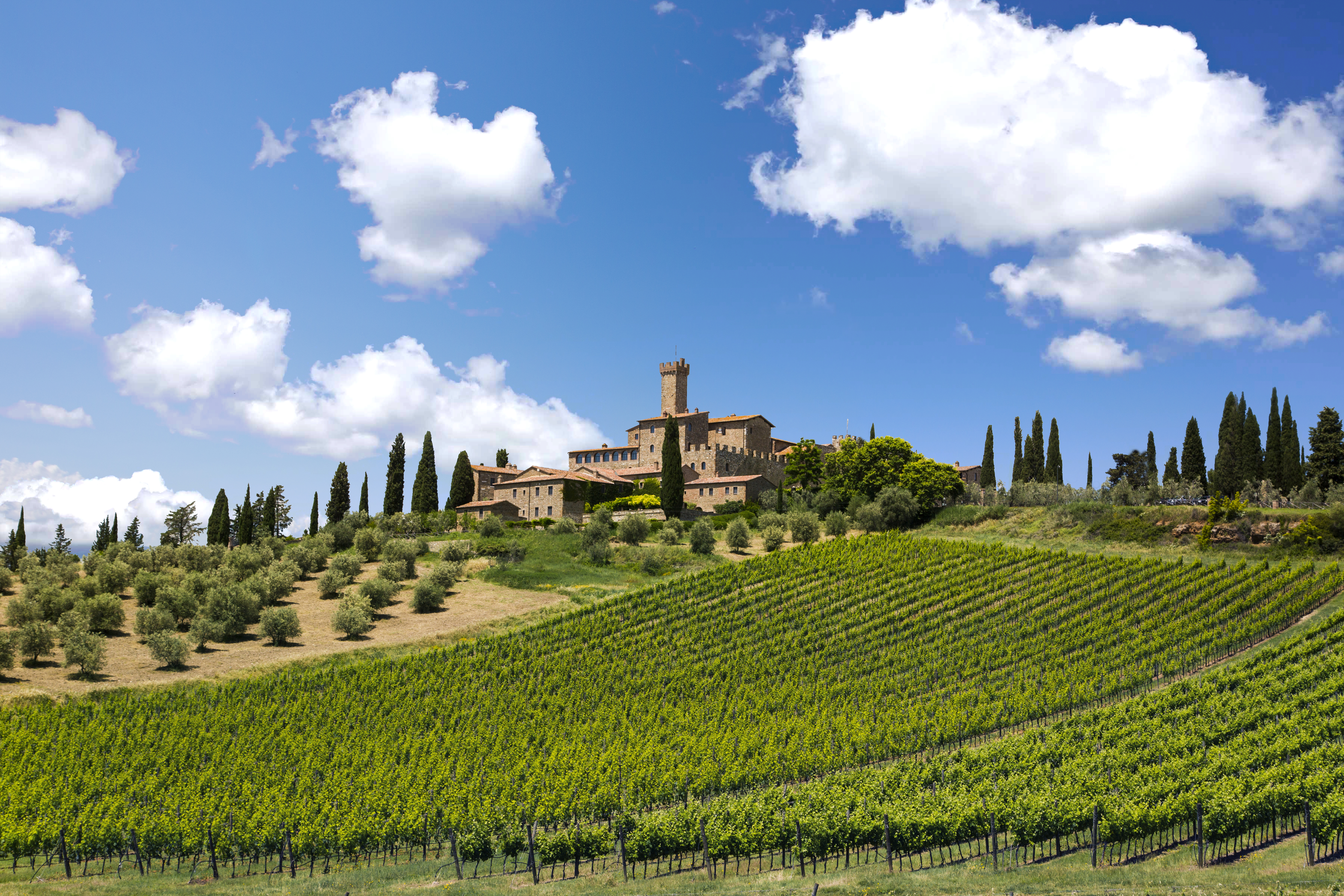 Banfi Brunello di Montalcino 2012 | Wine.com Banfi Brunello di Montalcino 2012 | Wine.com