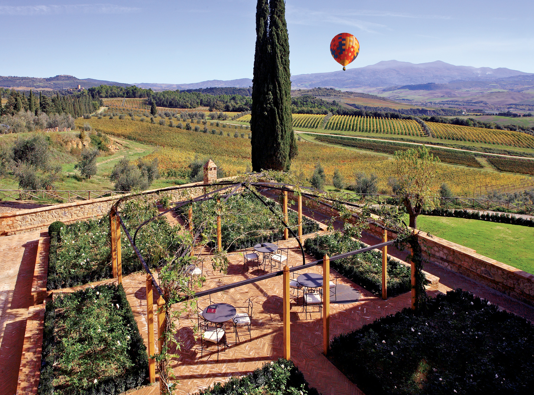 Banfi Brunello di Montalcino 1995 | Wine.com